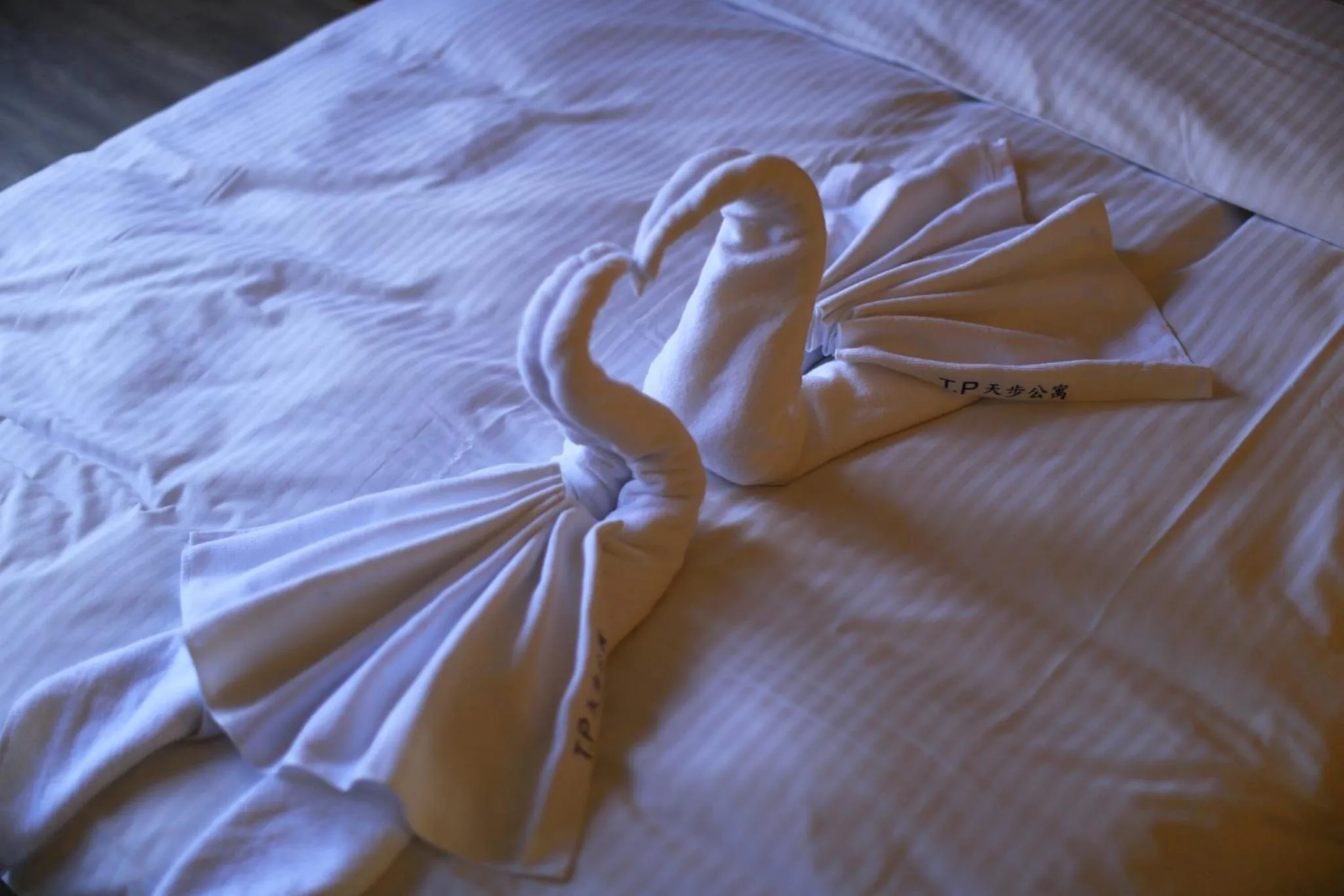 Bed in T.P. Apartment