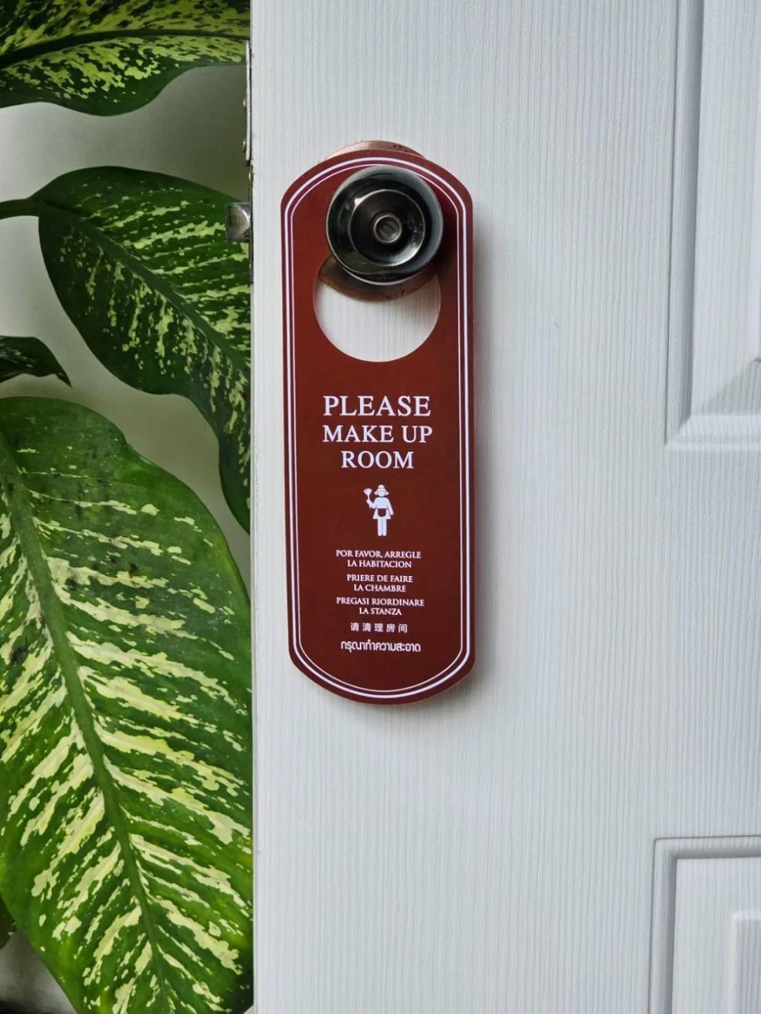 Area and facilities in P.California Inter Hostel