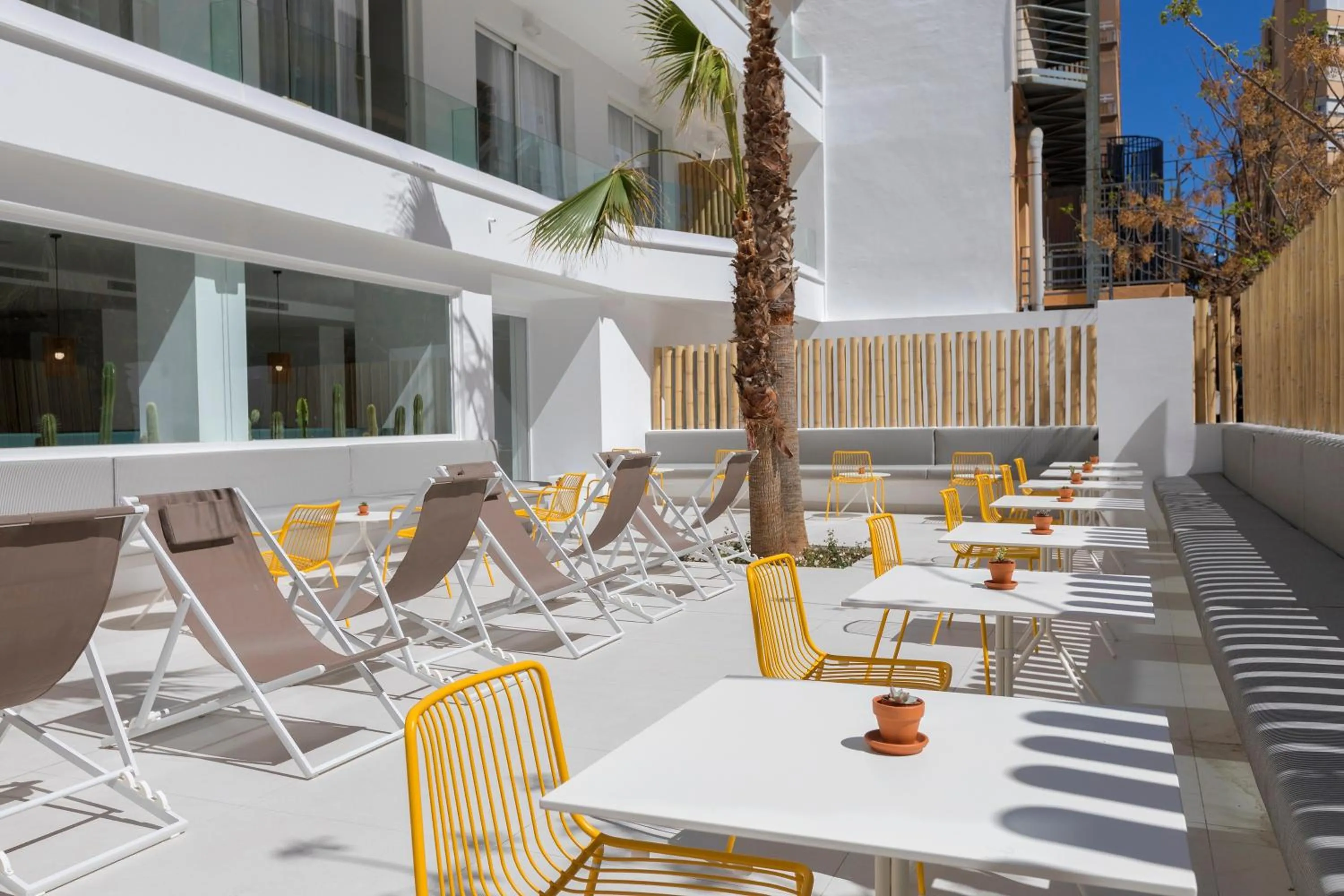 Area and facilities in whala!fun