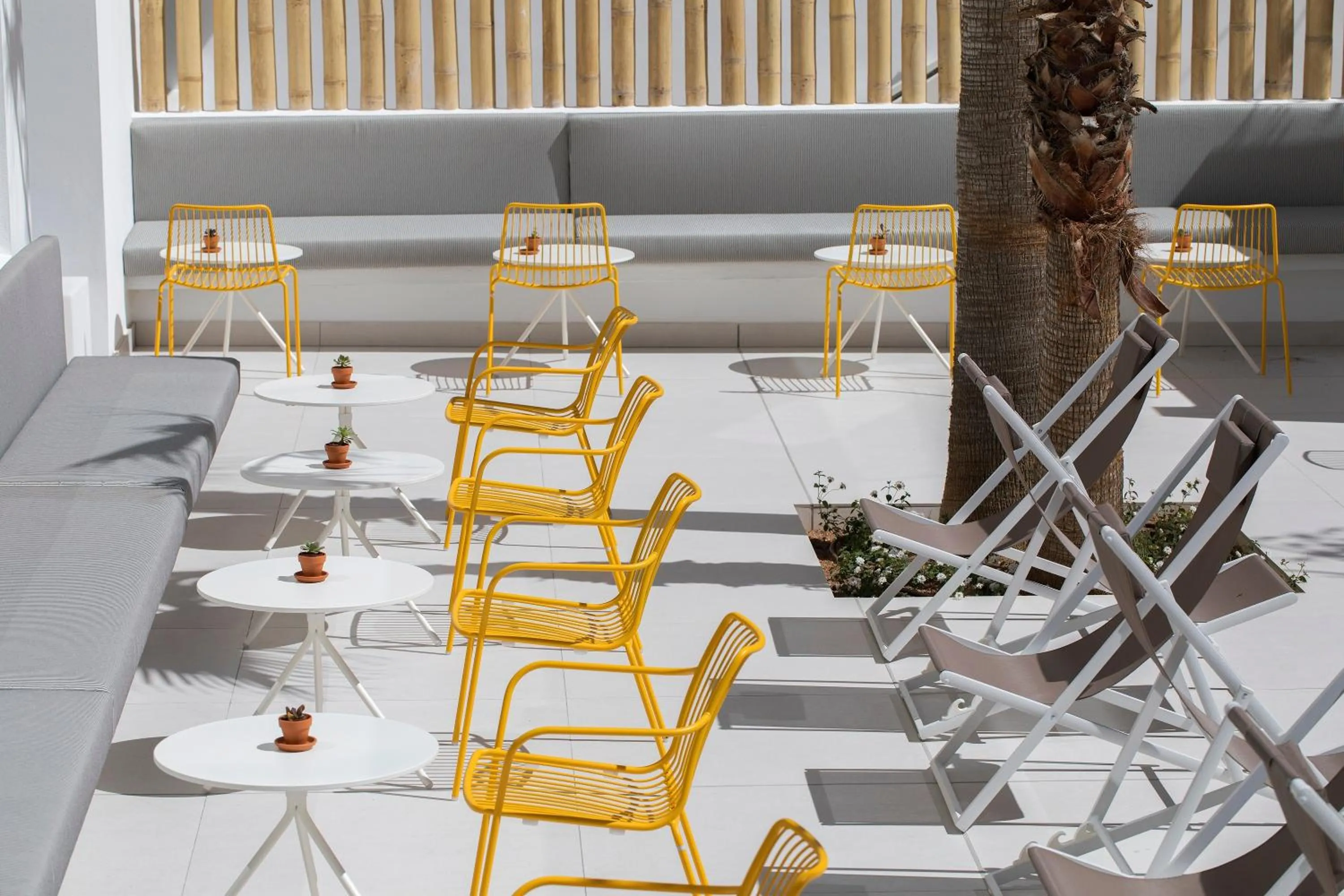 Area and facilities in whala!fun