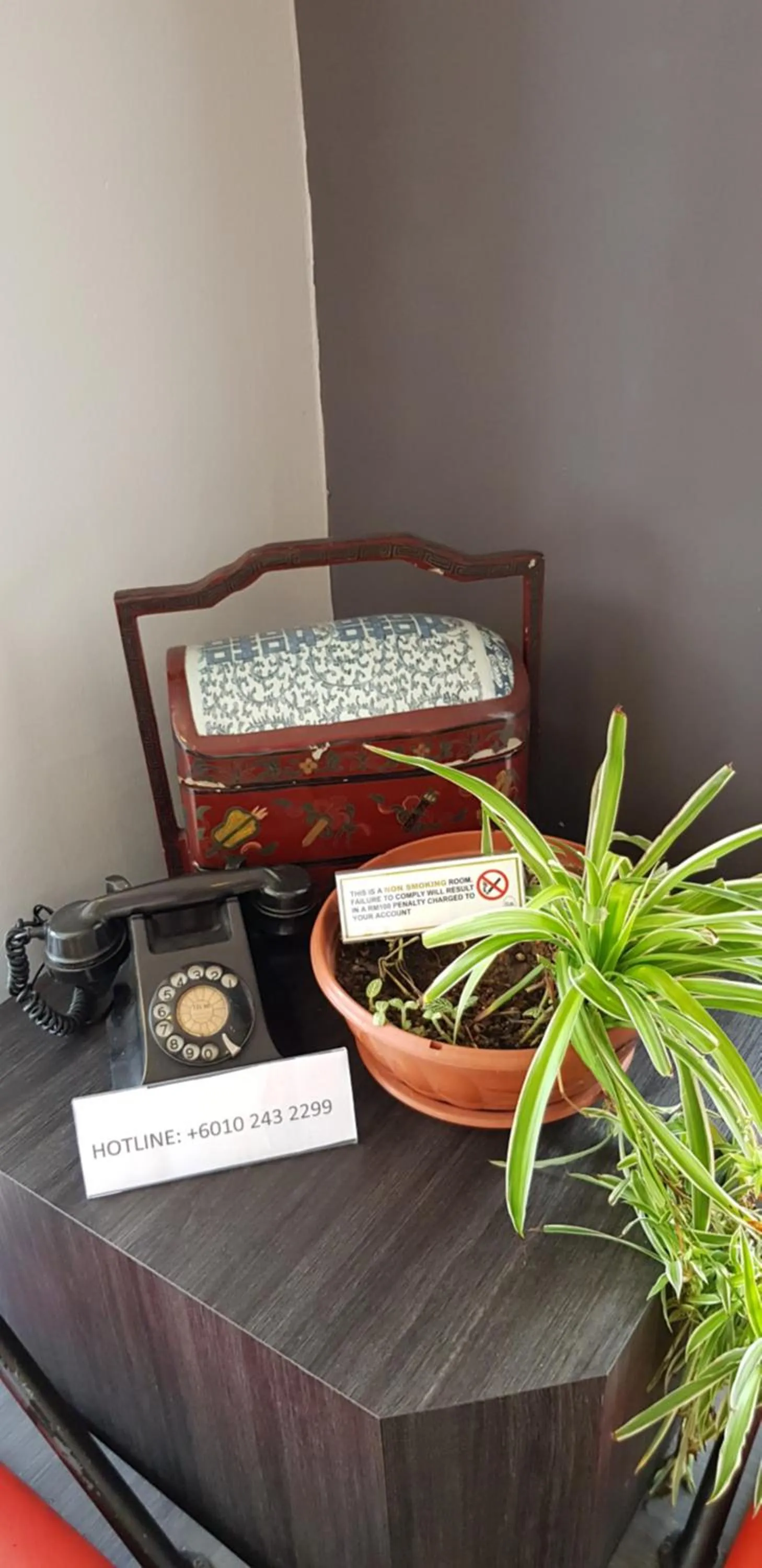 Cute Hotel & Dorms Ipoh