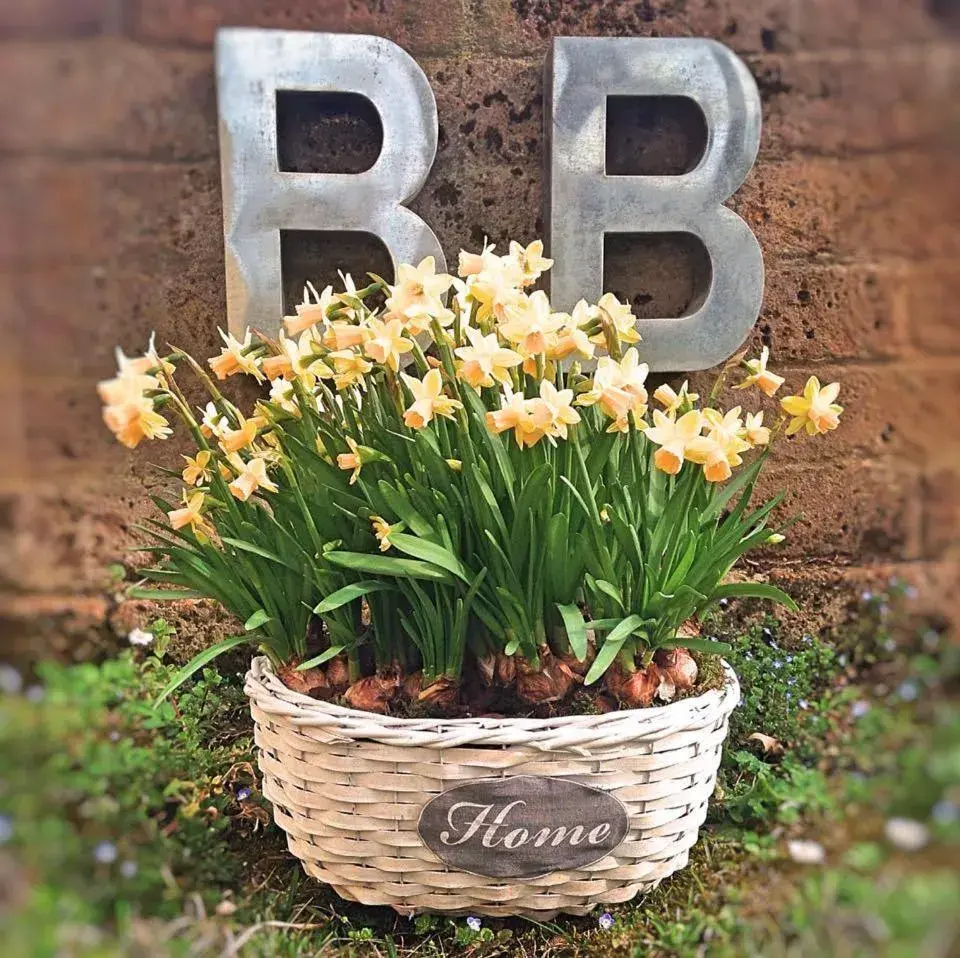 B&B Nascondino B&B Nascondino