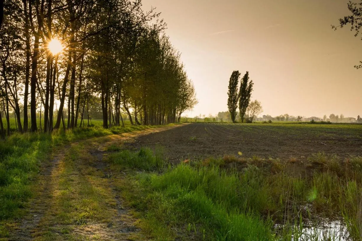 Property building in B&B Nascondino