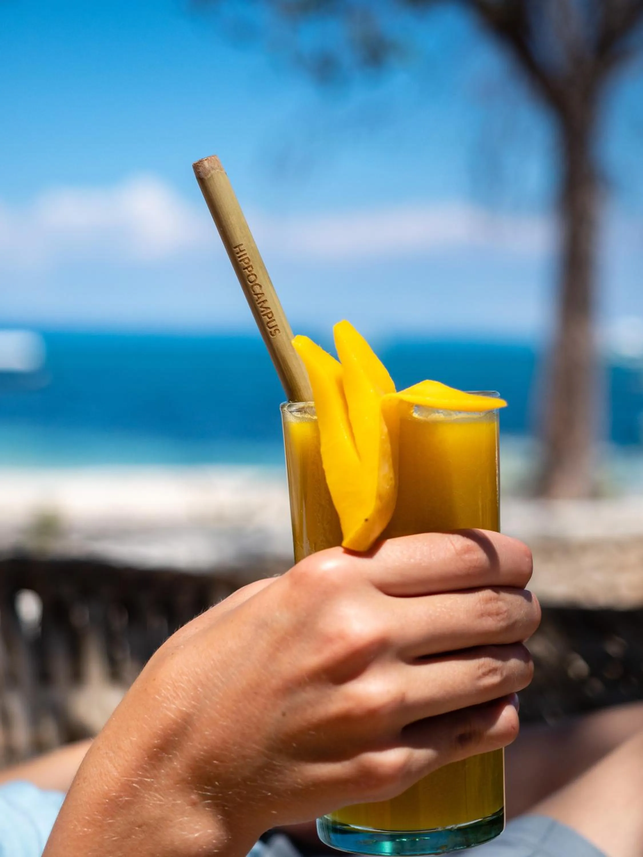 Beach in Hippocampus Beach Resort