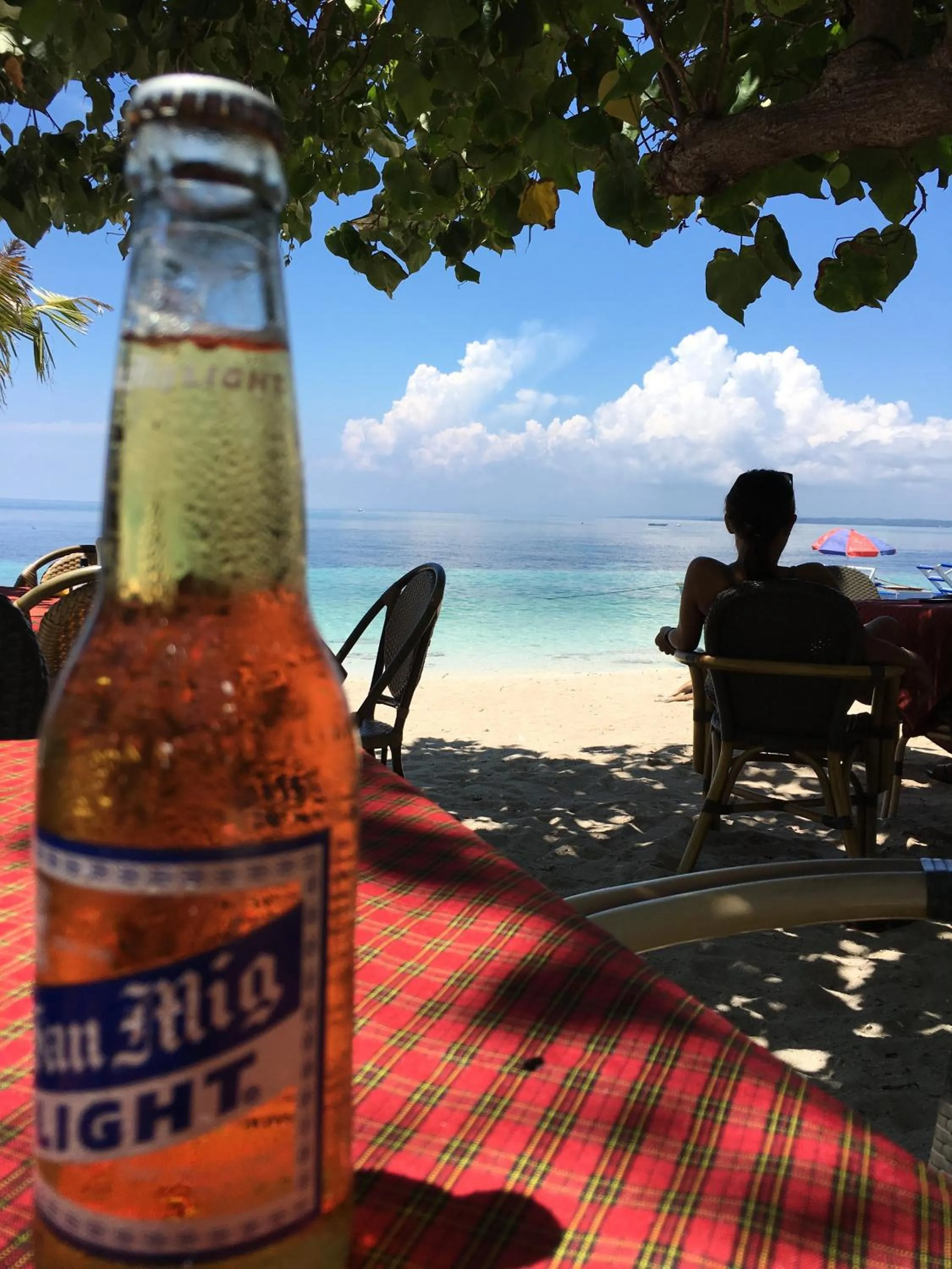 Beach in Hippocampus Beach Resort