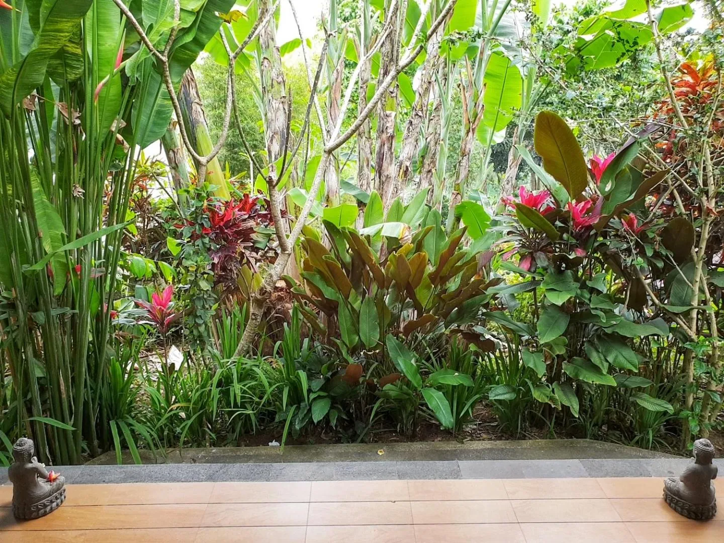 Garden in Secluded Jungle Villa