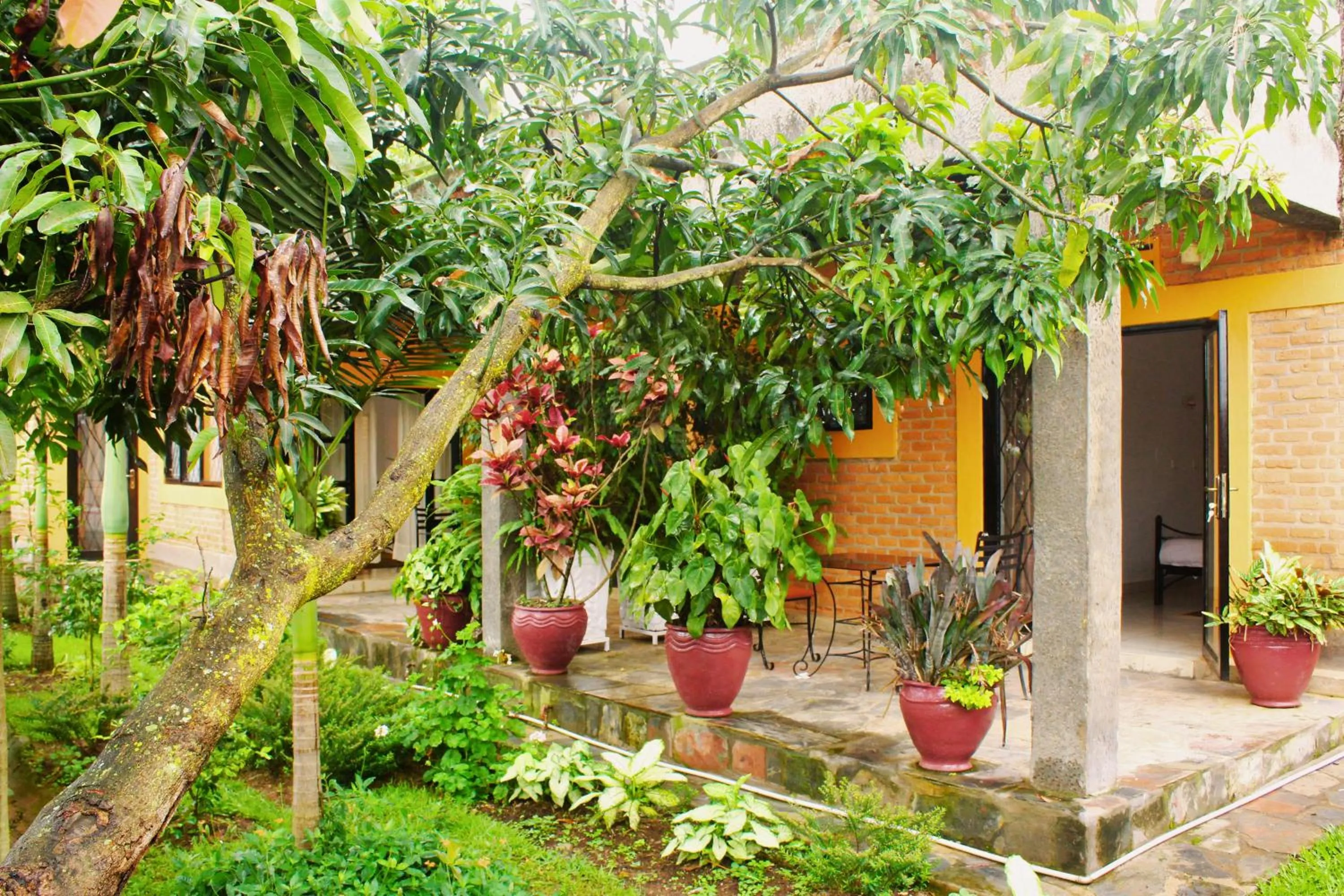 Garden in Salama Village Kigali