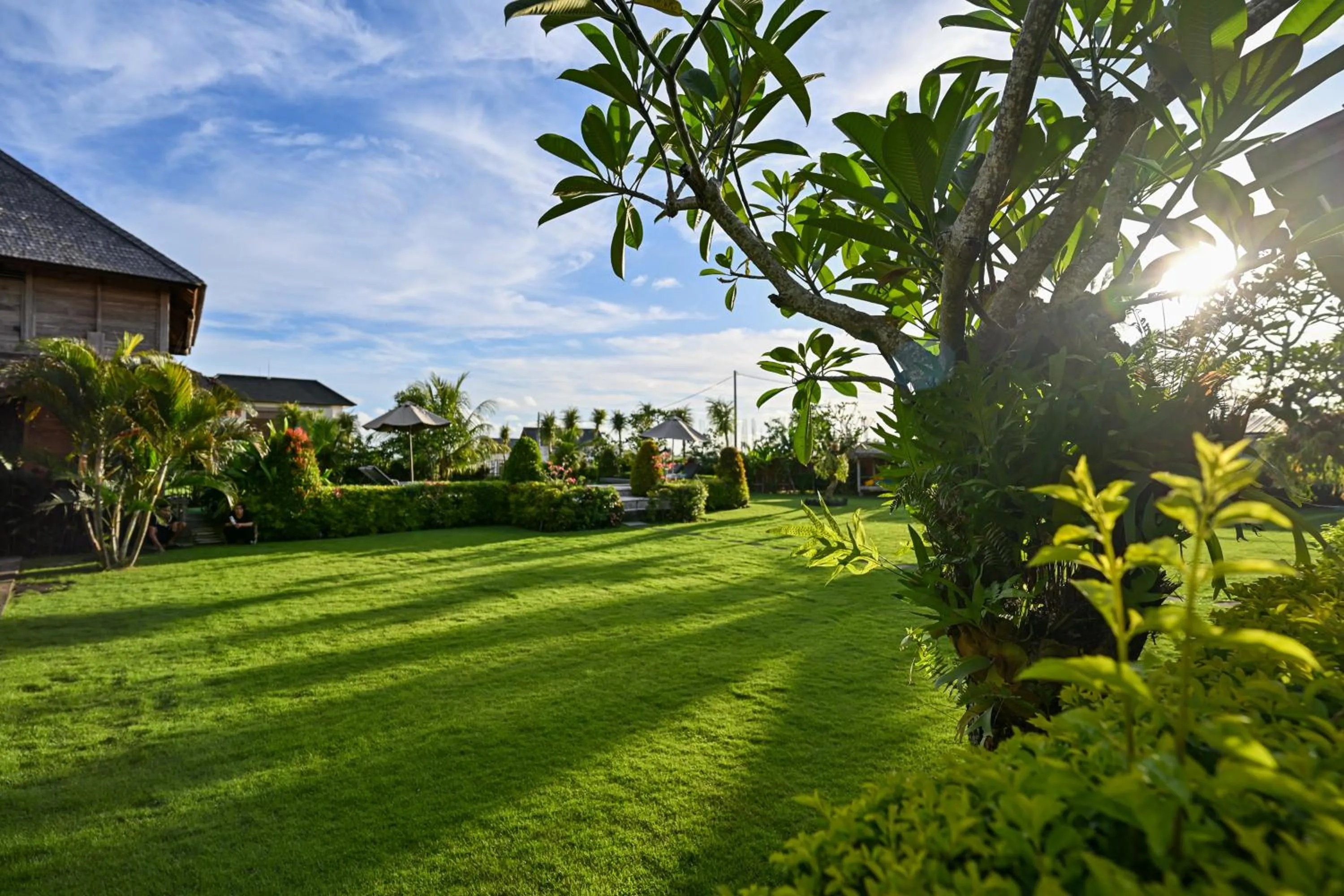 Garden in Canggu Wooden Green Paradise
