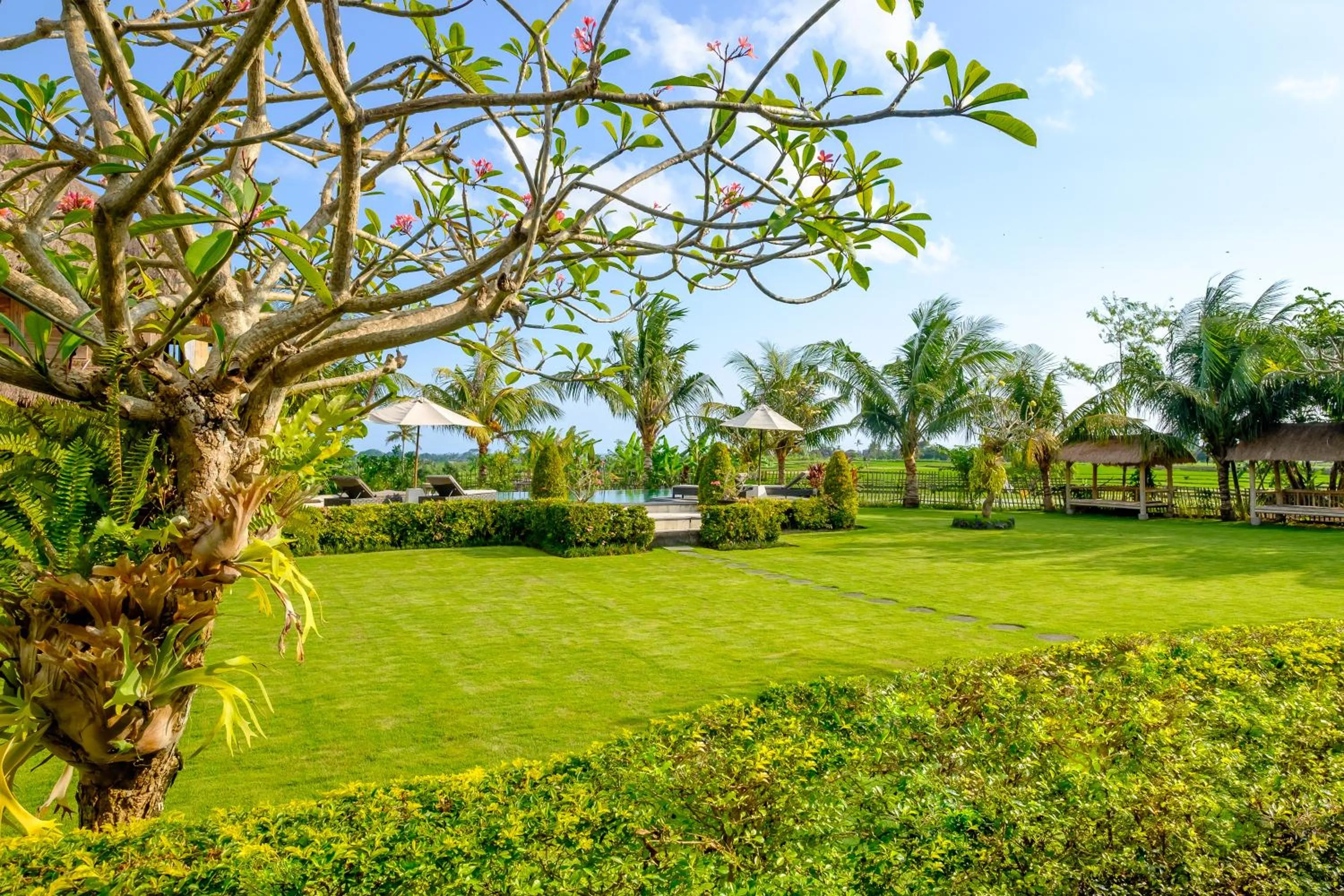 Garden in Canggu Wooden Green Paradise