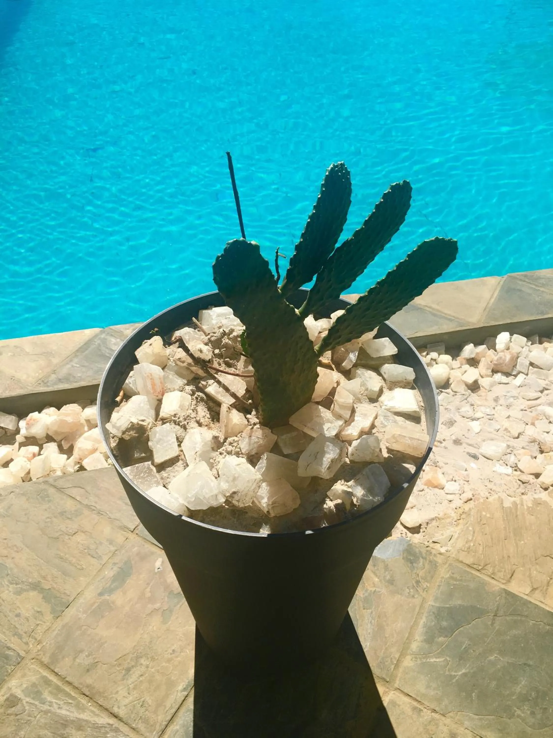 Patio in Hotel de la Poste