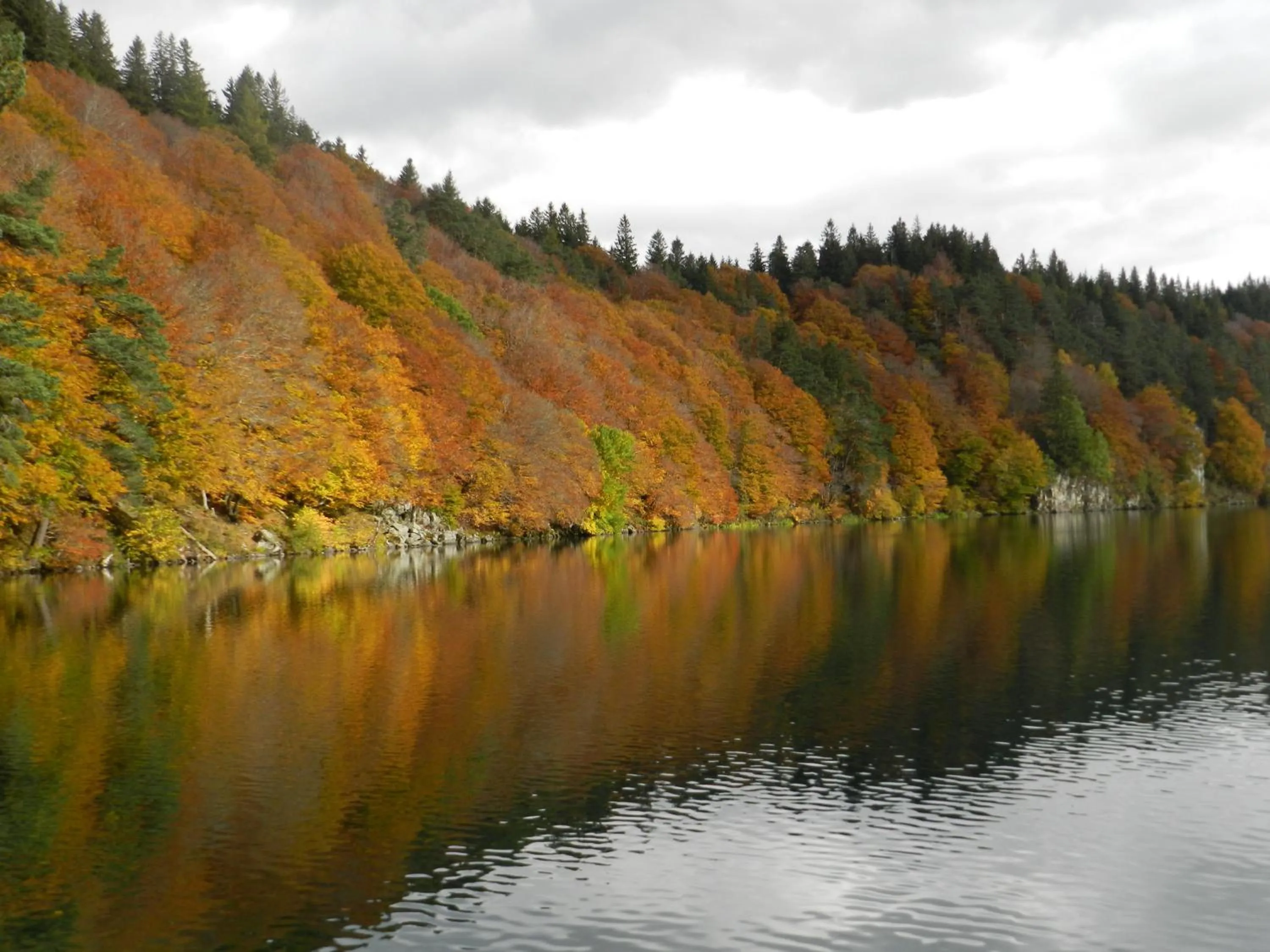 Off site in Gergovia