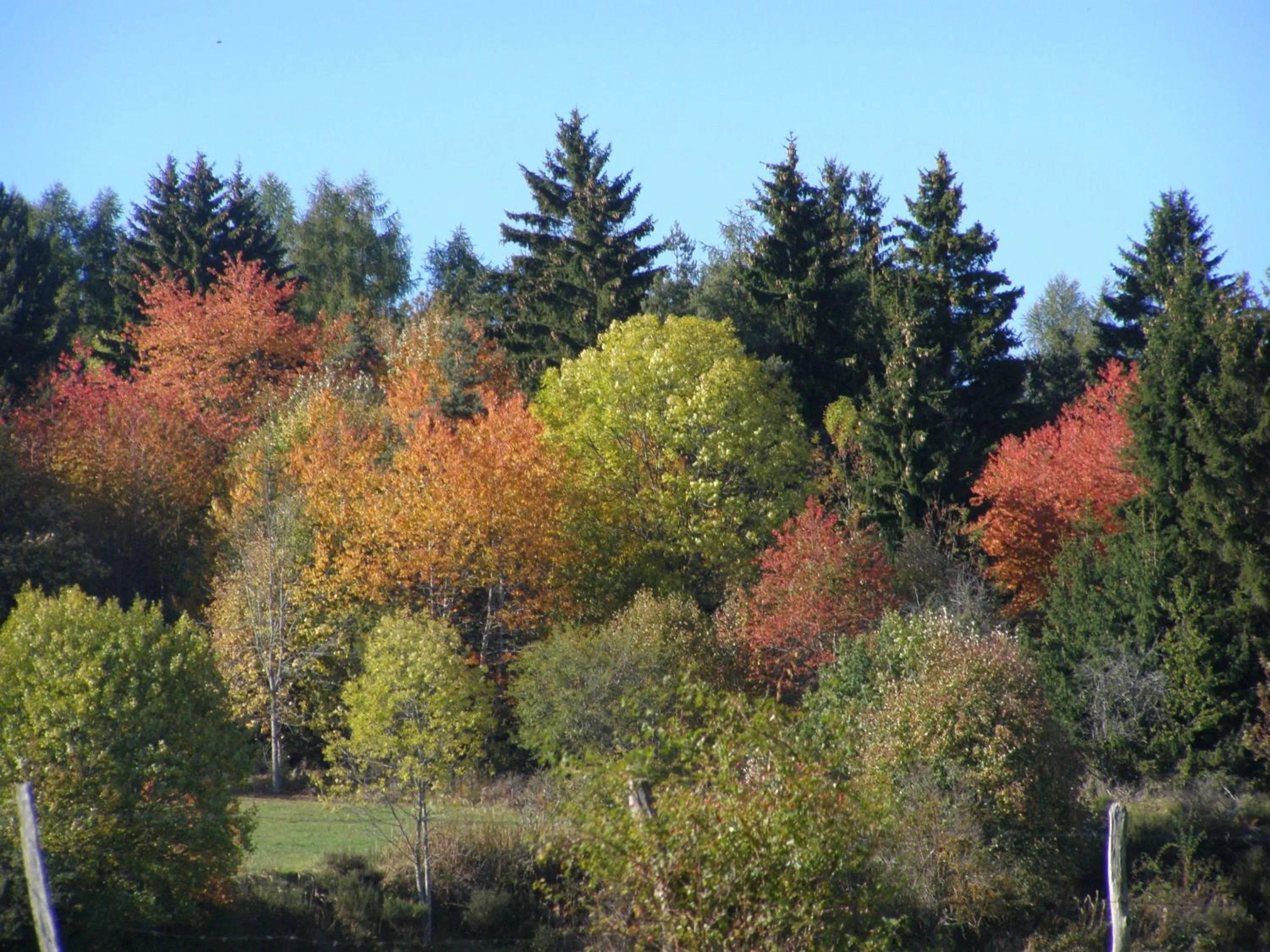 Area and facilities in Gergovia