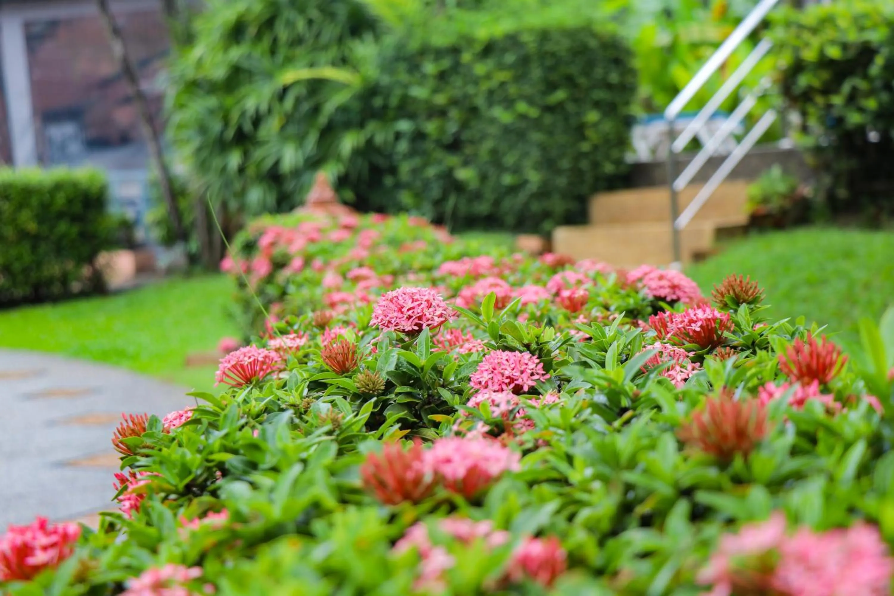 Garden in Andaman Seaside Resort Bangtao Beach