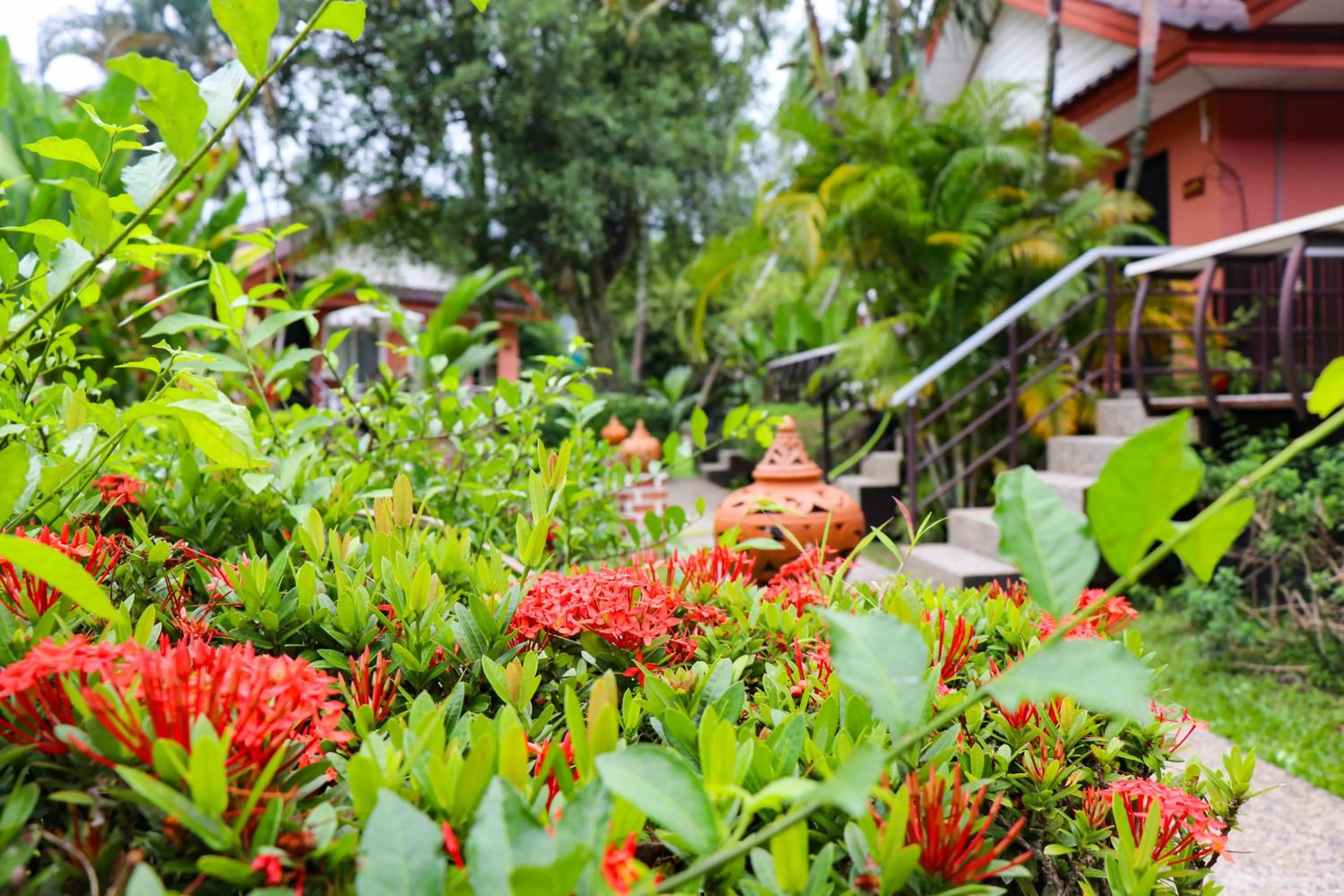 Garden in Andaman Seaside Resort Bangtao Beach