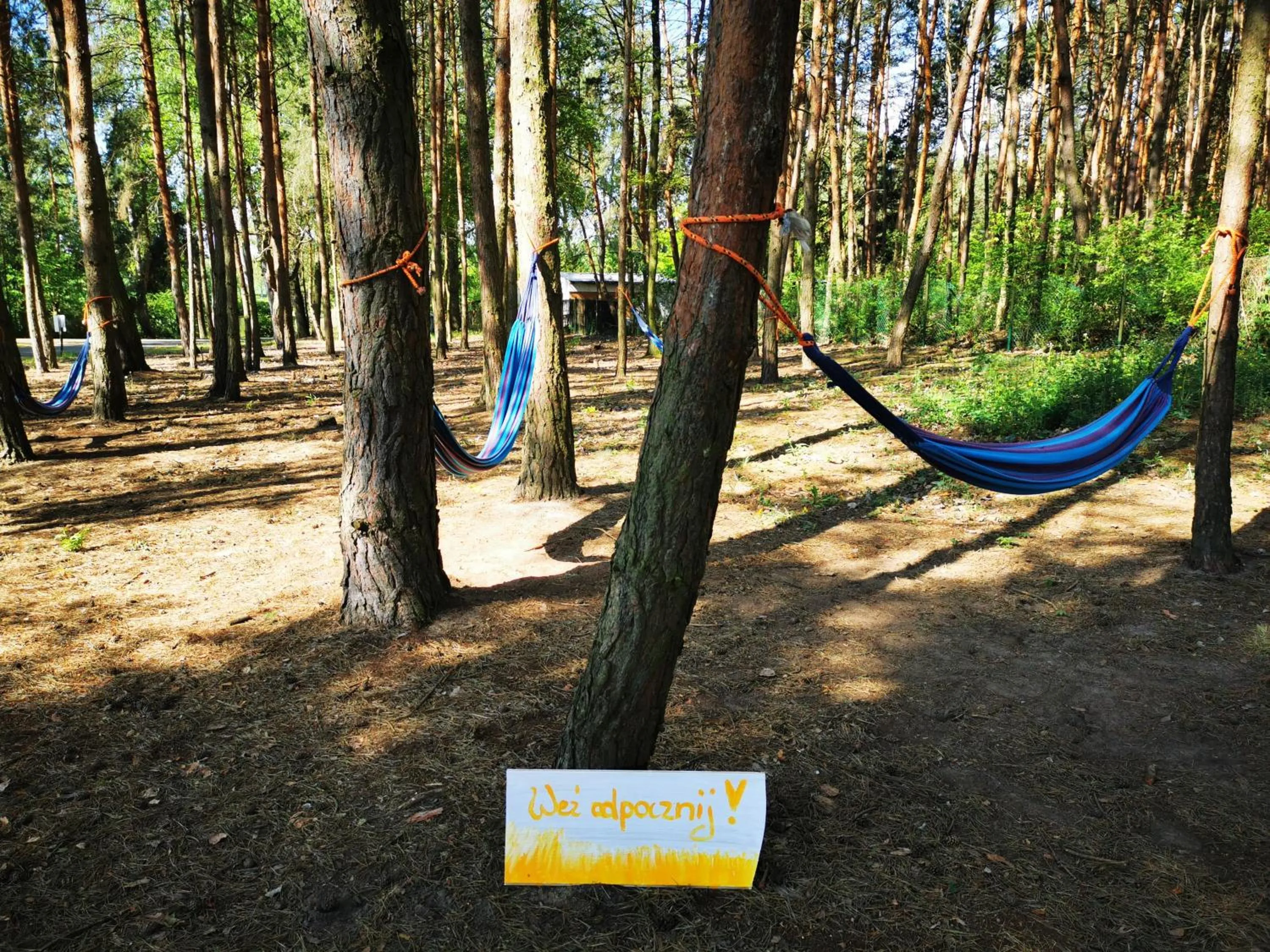 Natural landscape in Hotel Szablewski