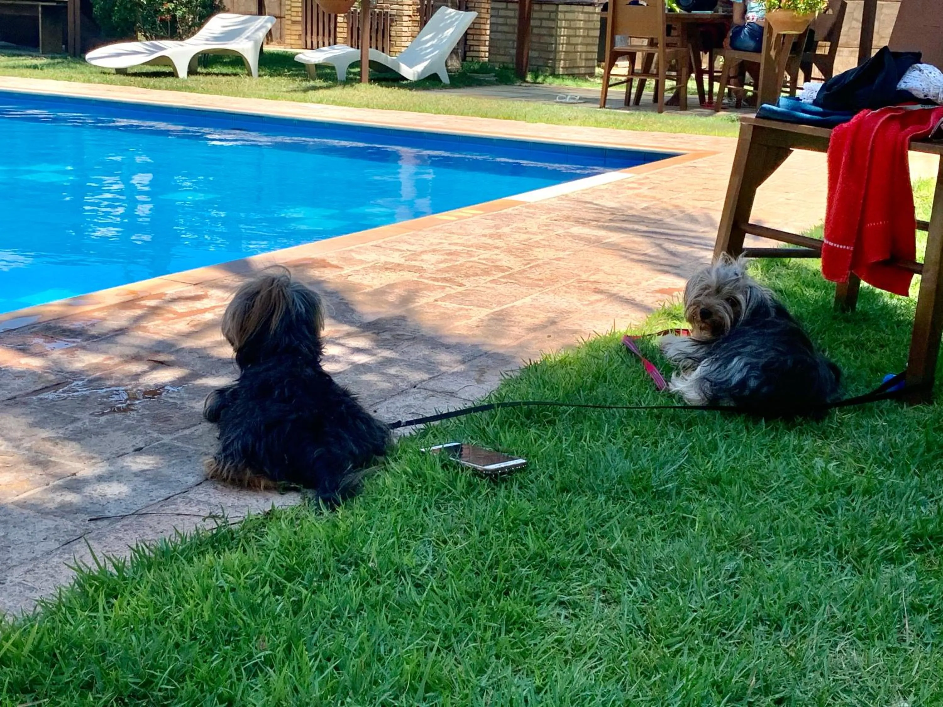 Pets in Residenza Canoa