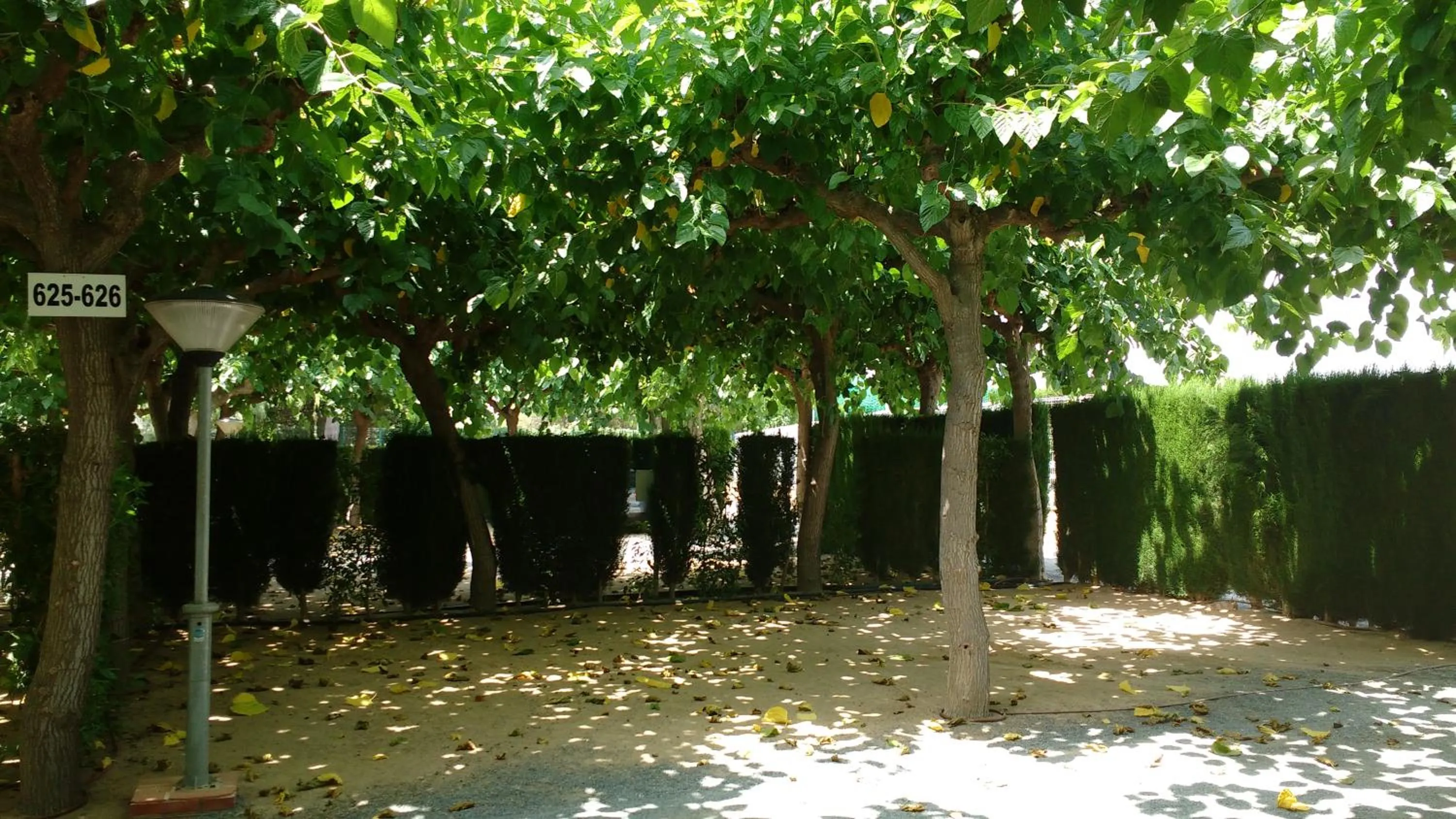 Area and facilities in Camping Platja Cambrils