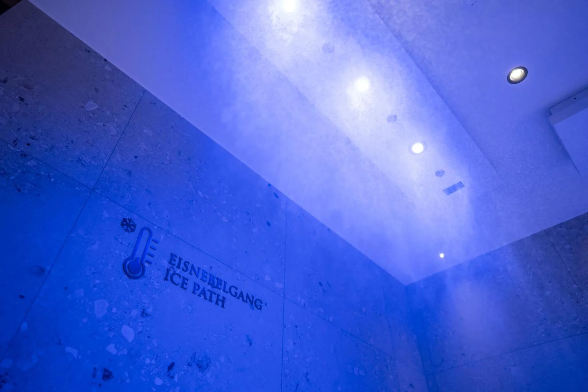 Sauna in Hotel Trofana Alpin