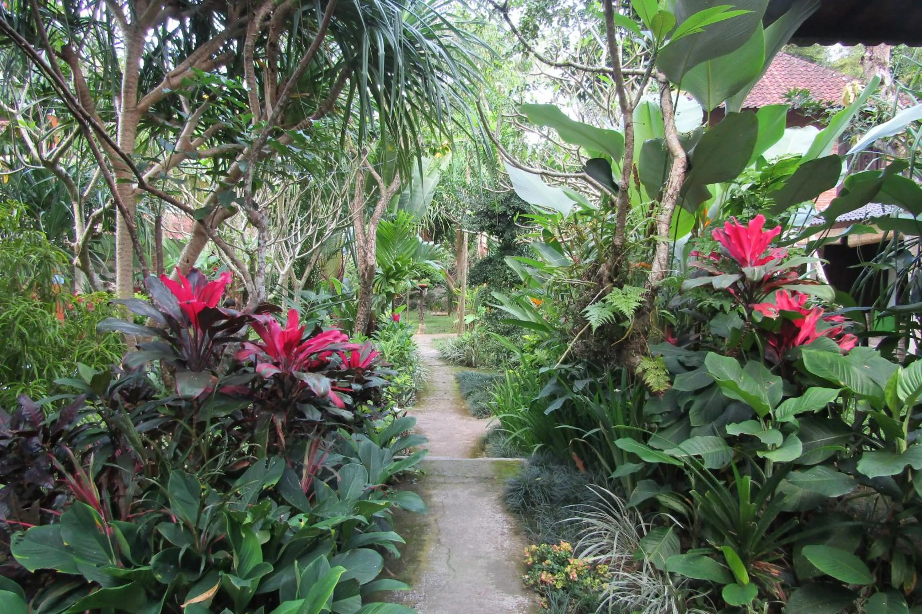 Garden view in Recep Bungalow