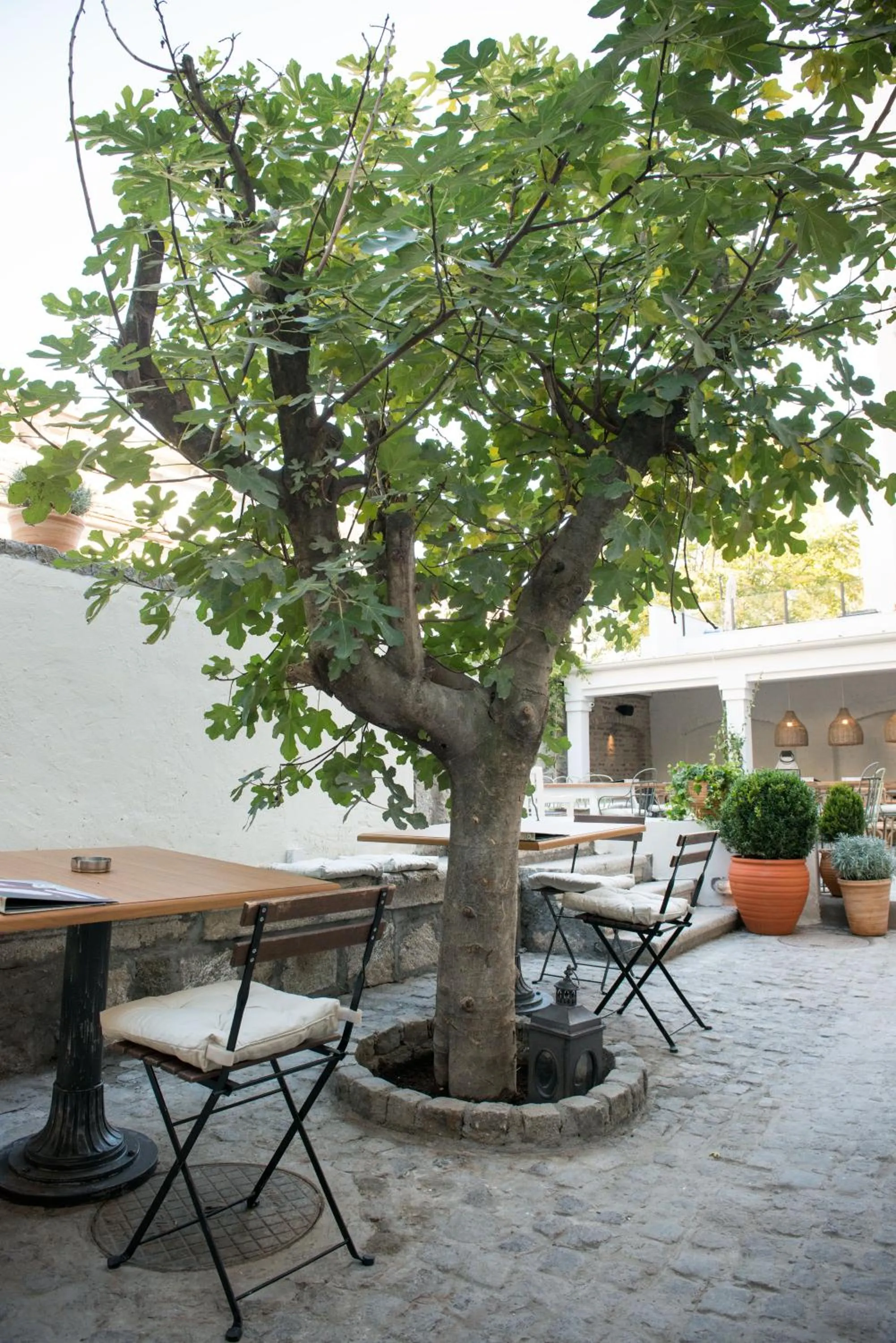 Balcony/Terrace in Smokvica Dorćol B&B