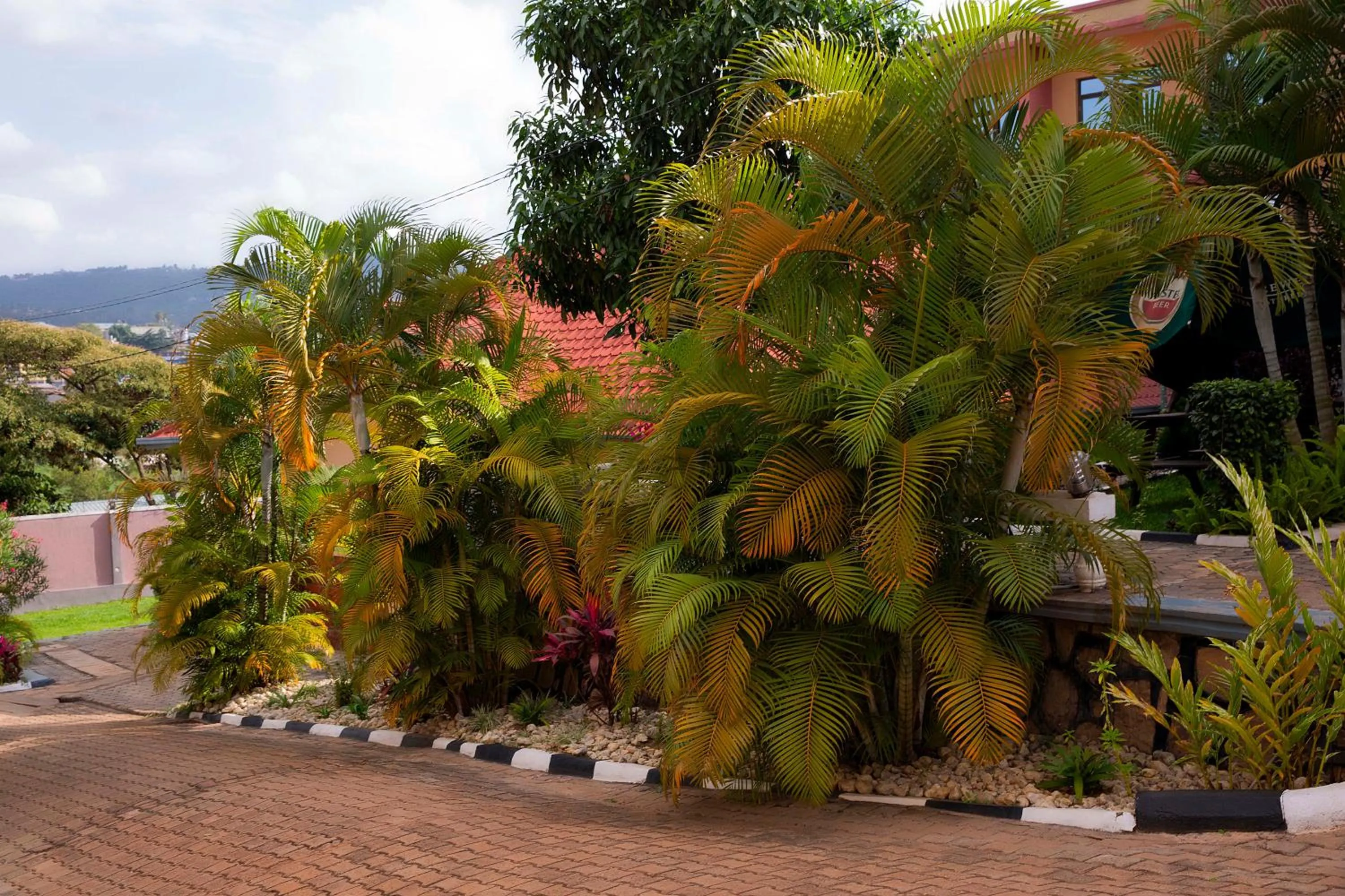 Natural landscape in Romalo Hotel & Apartments