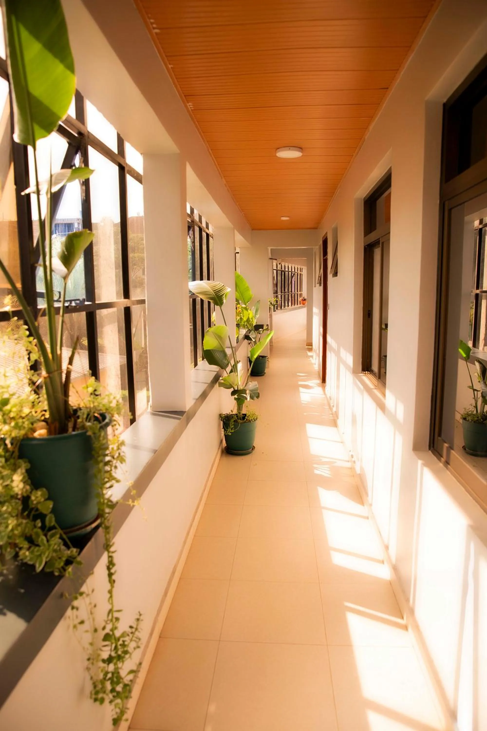 Garden view in Romalo Hotel & Apartments