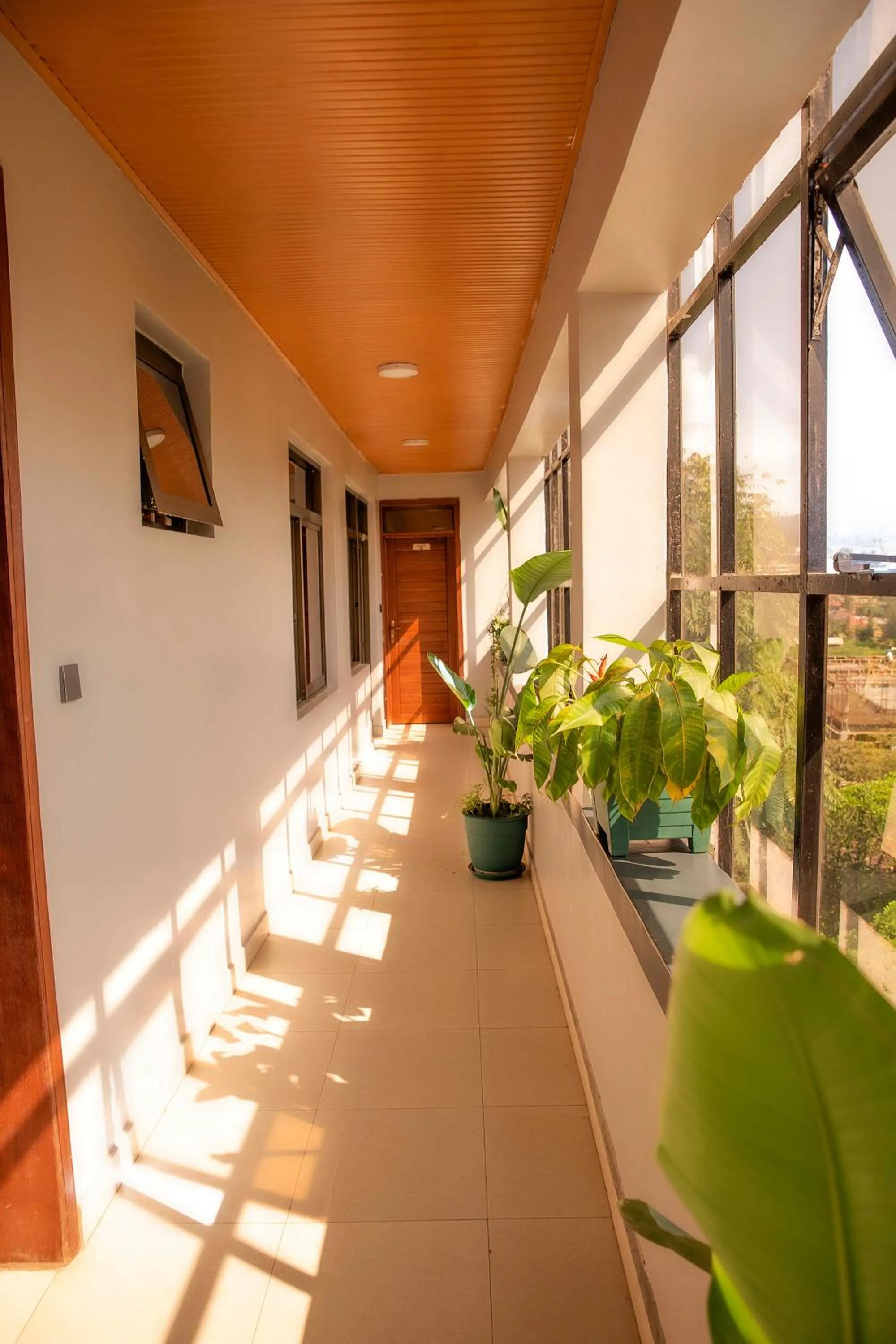 Balcony/Terrace in Romalo Hotel & Apartments