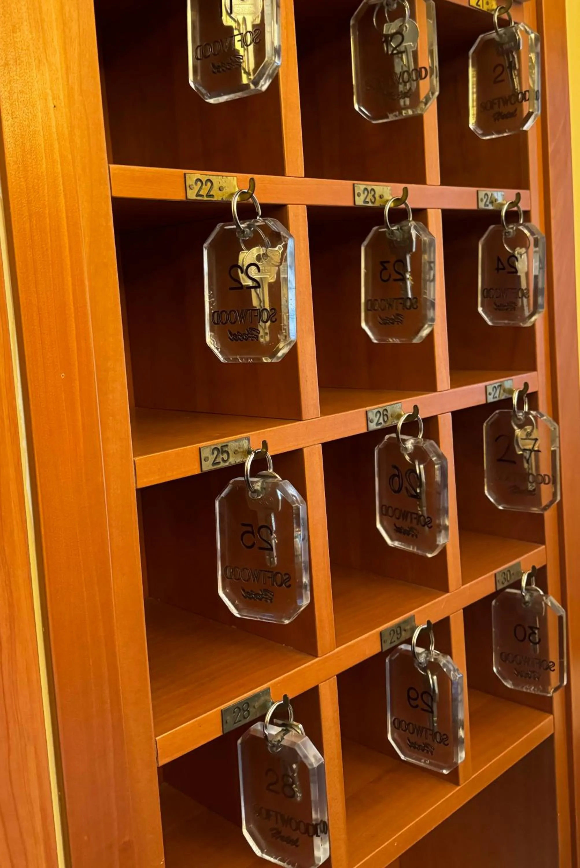 Lobby or reception in Hotel Softwood