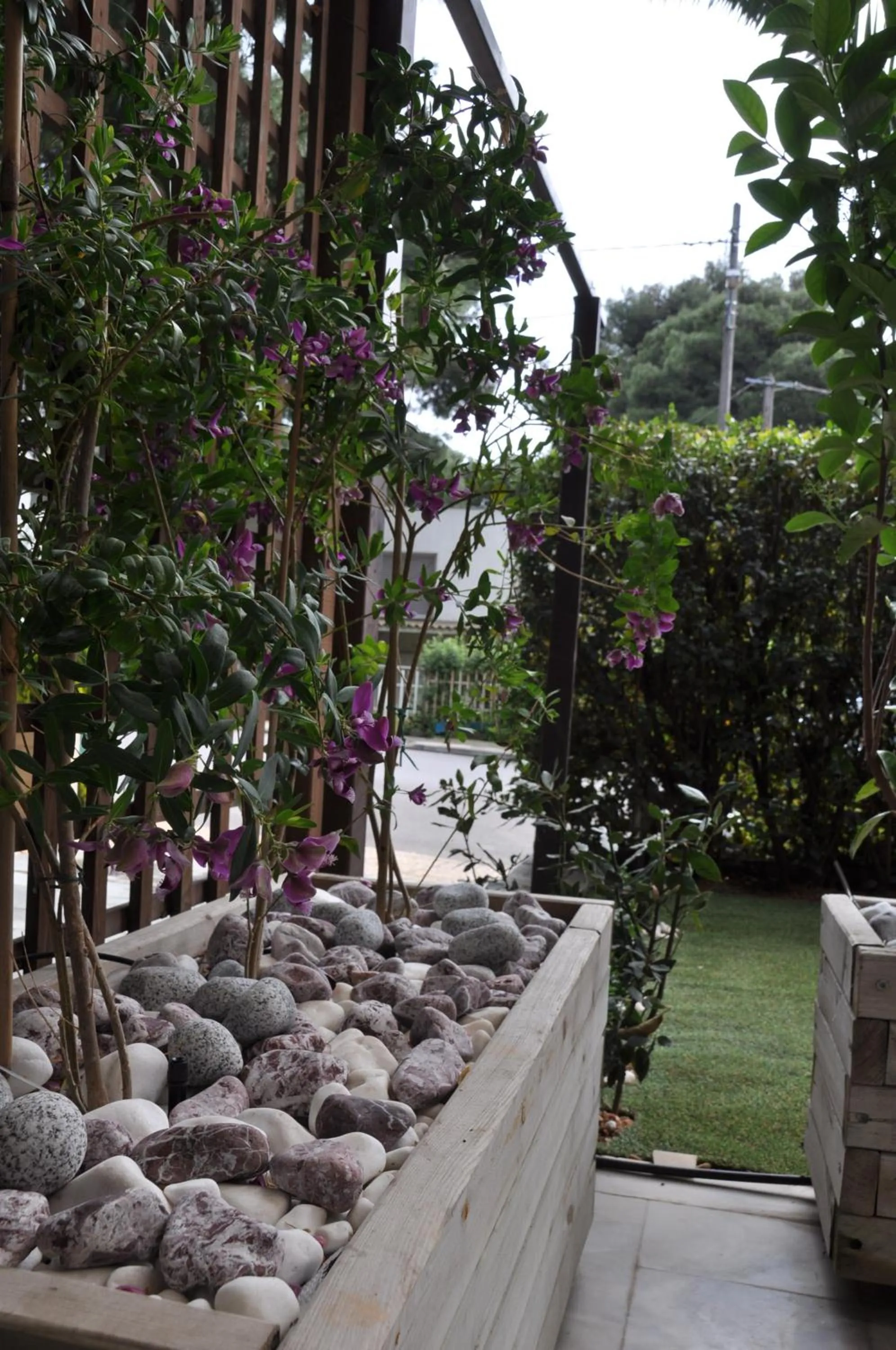 Facade/entrance in Hotel Chris