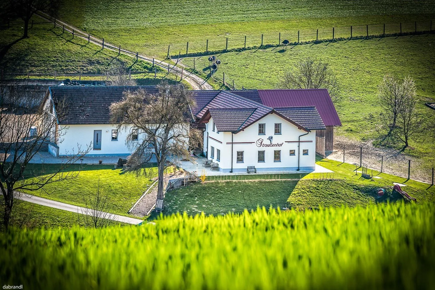 Straußenhof Halmer