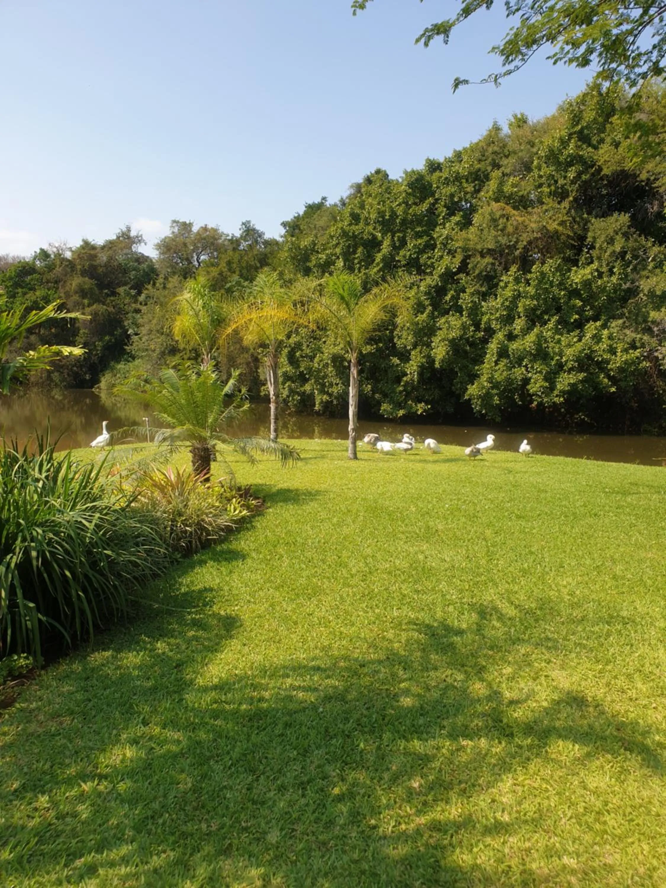 Garden in Nkomazi Kruger Lodge & Spa