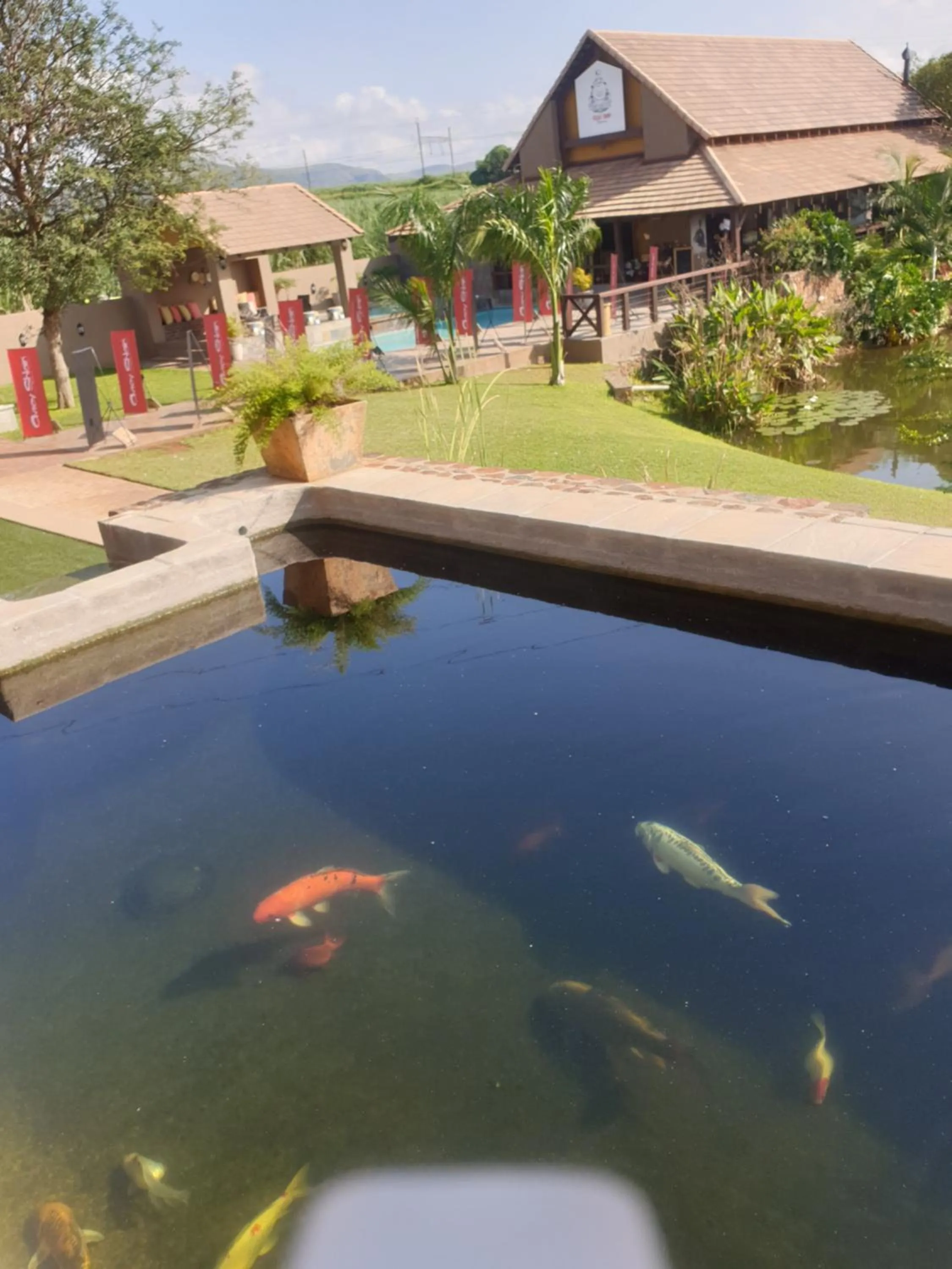 Pool view in Nkomazi Kruger Lodge & Spa
