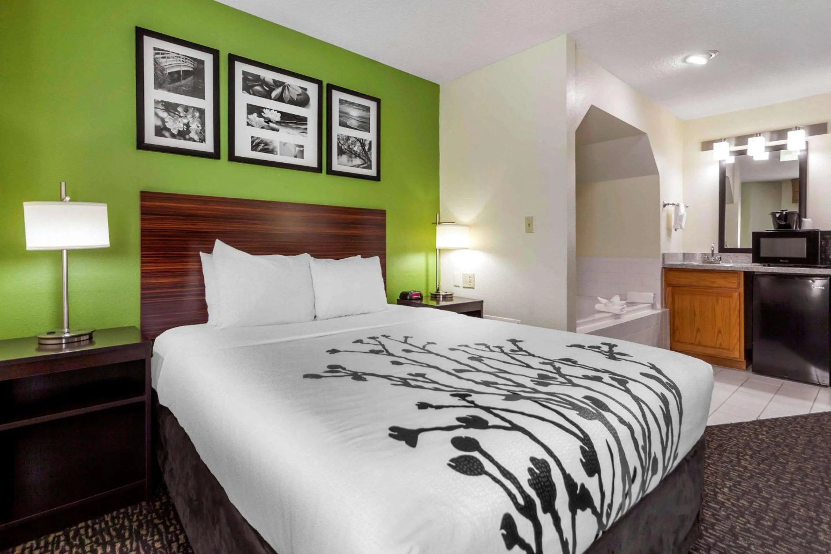 Photo of the whole room, Bed in Sleep Inn & Suites Omaha Airport