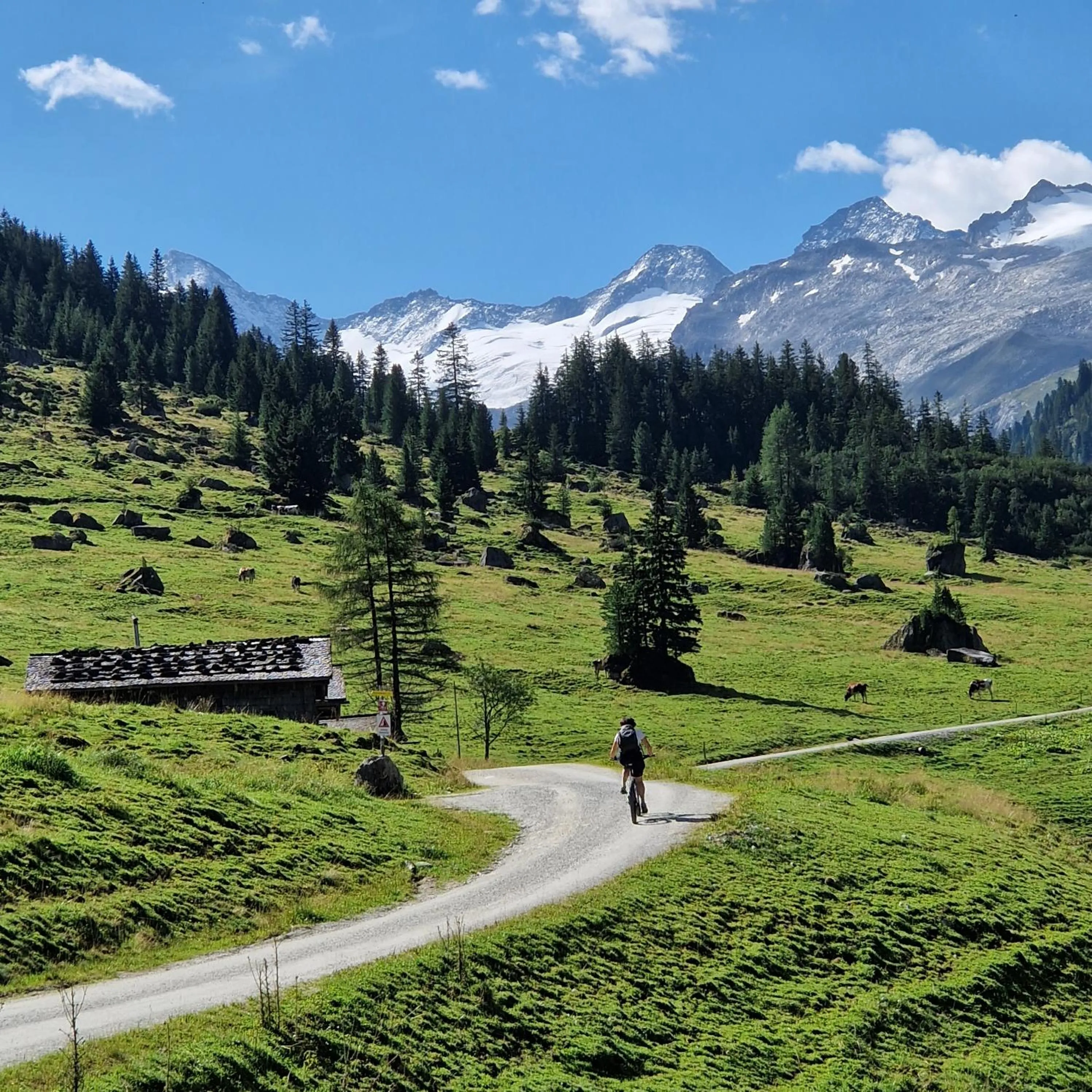Cycling in Hotel Schloss Mittersill