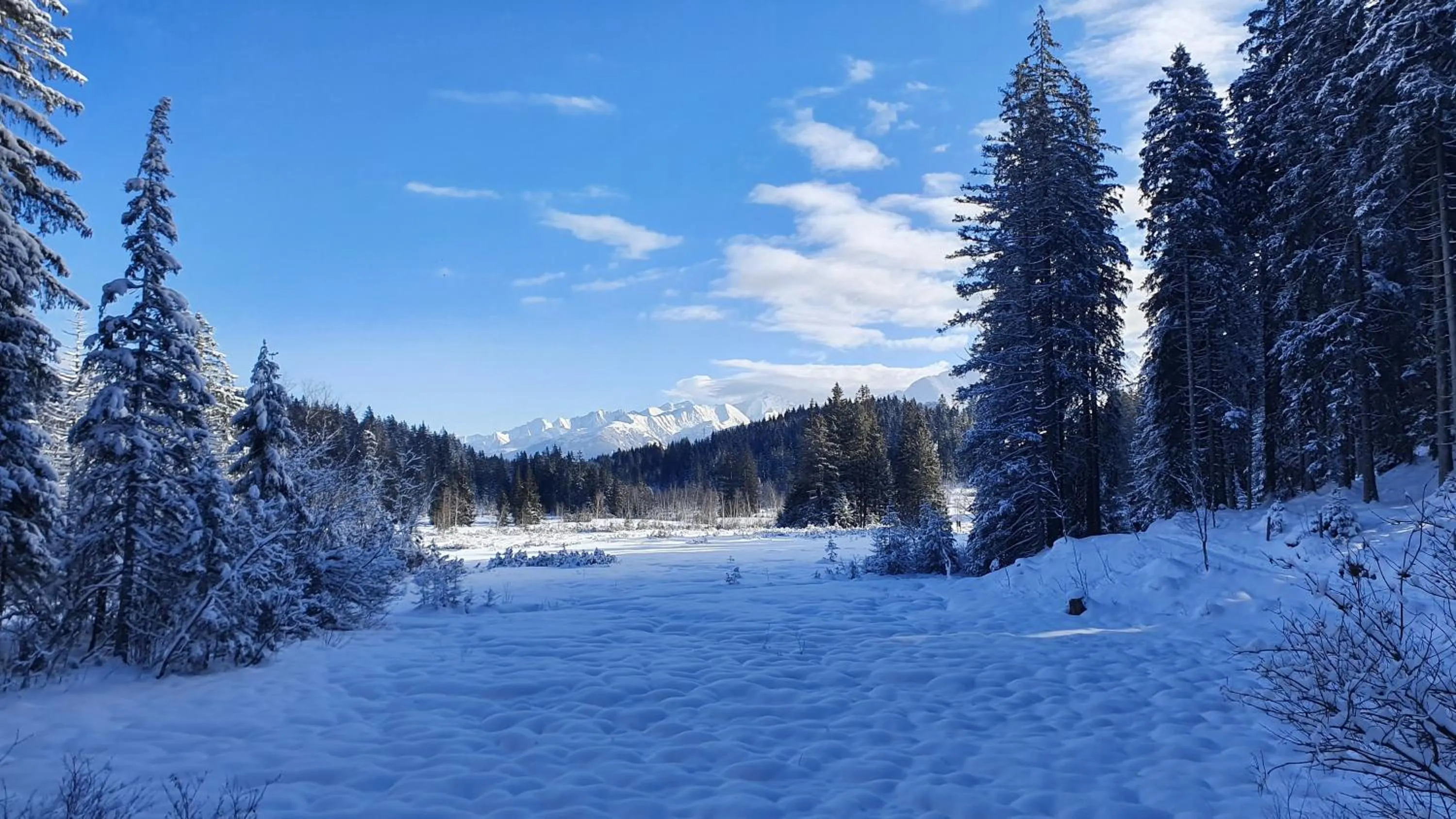 Hotel Schloss Mittersill