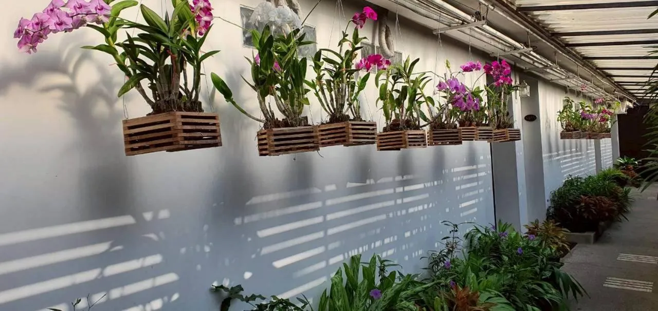 Garden in Siam Piman Hotel