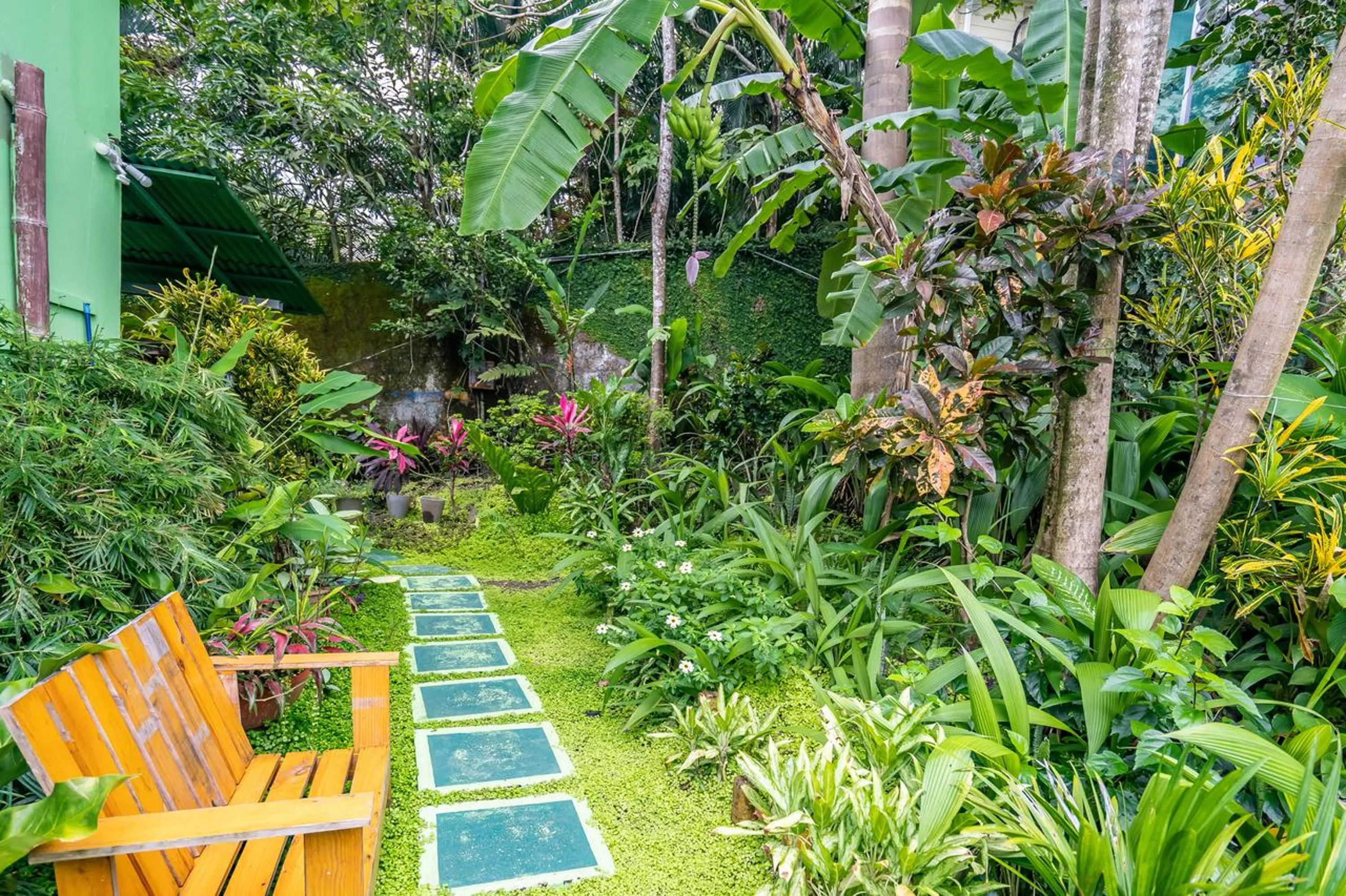 Garden in Peace of Paradise Breakfast Included Free Manuel Antonio Park Tour