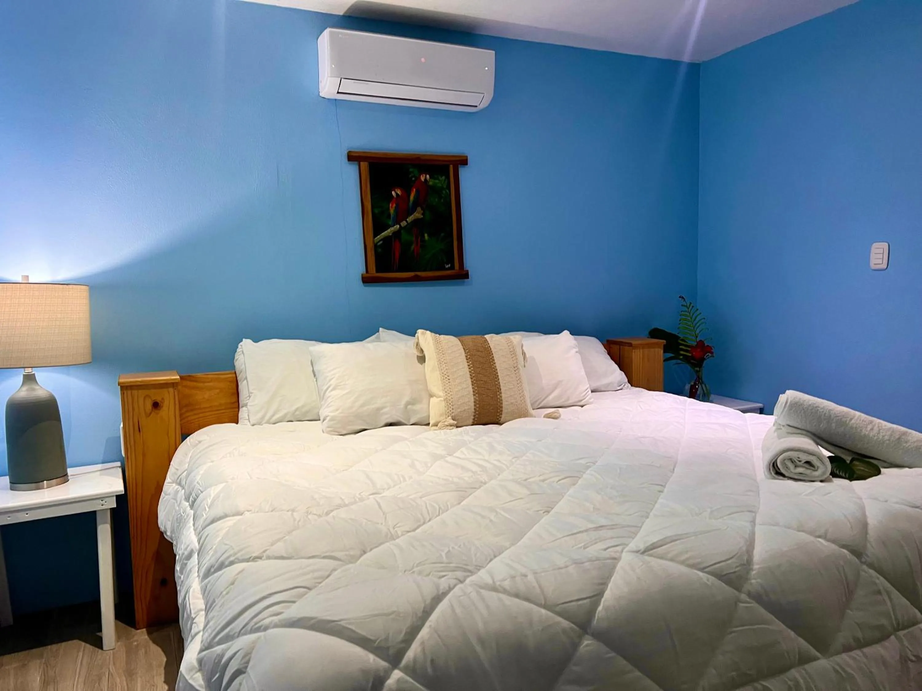 Bed in Peace of Paradise Breakfast Included Free Manuel Antonio Park Tour