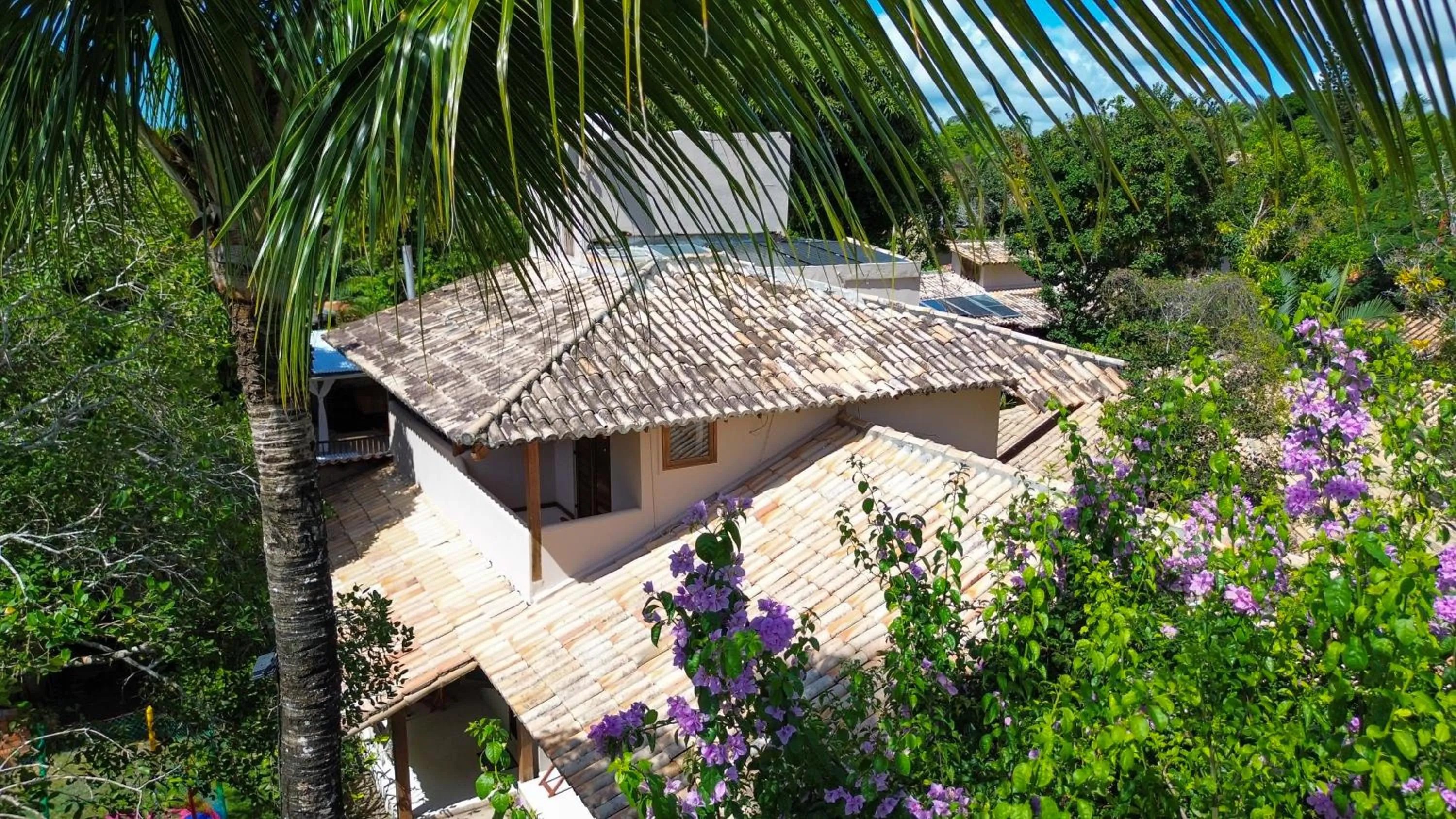 Garden view in Hotel Pousada Coqueiros