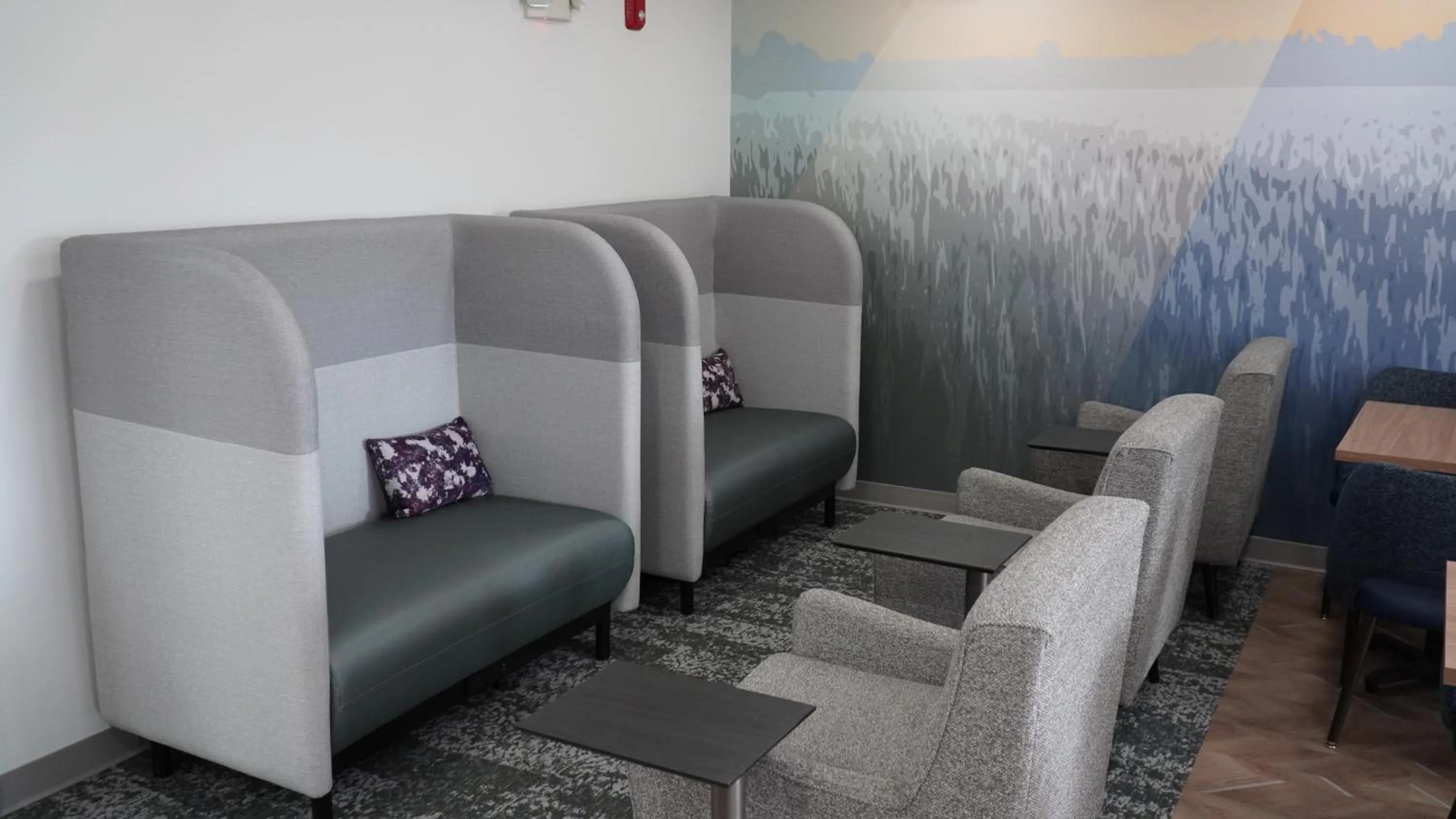 Sleep Inn Franklin - Cool Springs