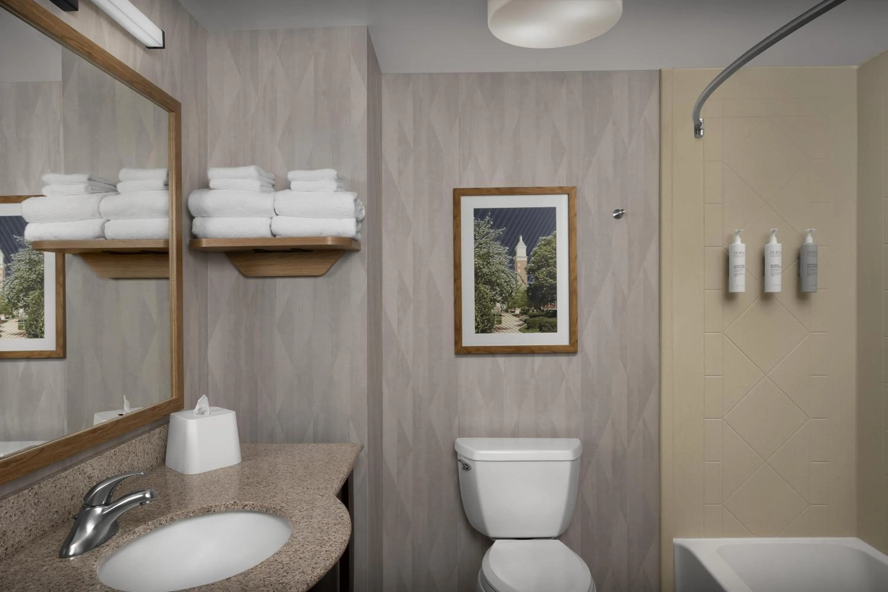 Bathroom in Hampton Inn & Suites Huntersville