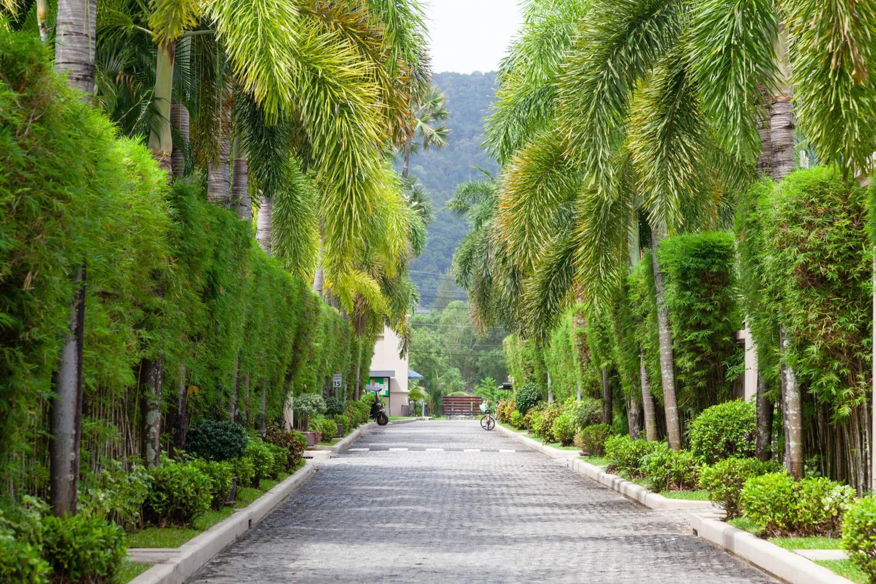 Property building in The Residence Resort