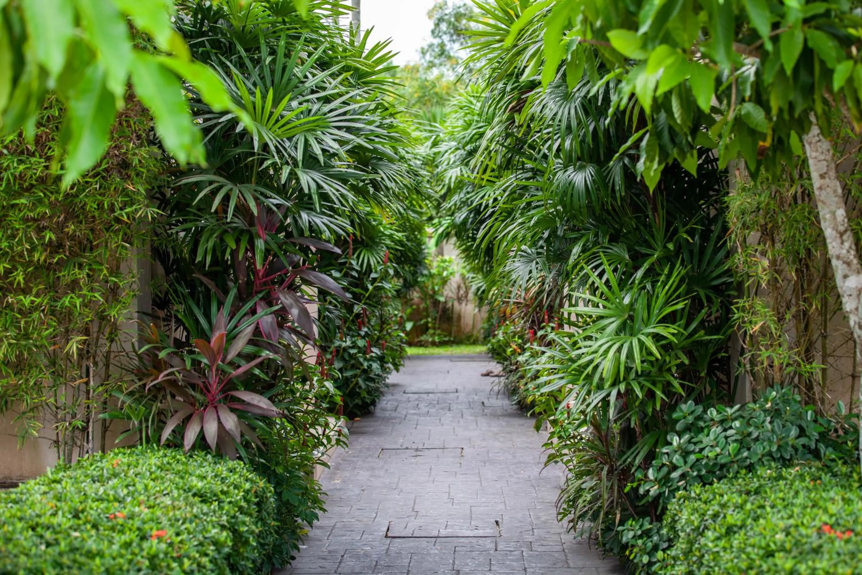 Property building in The Residence Resort