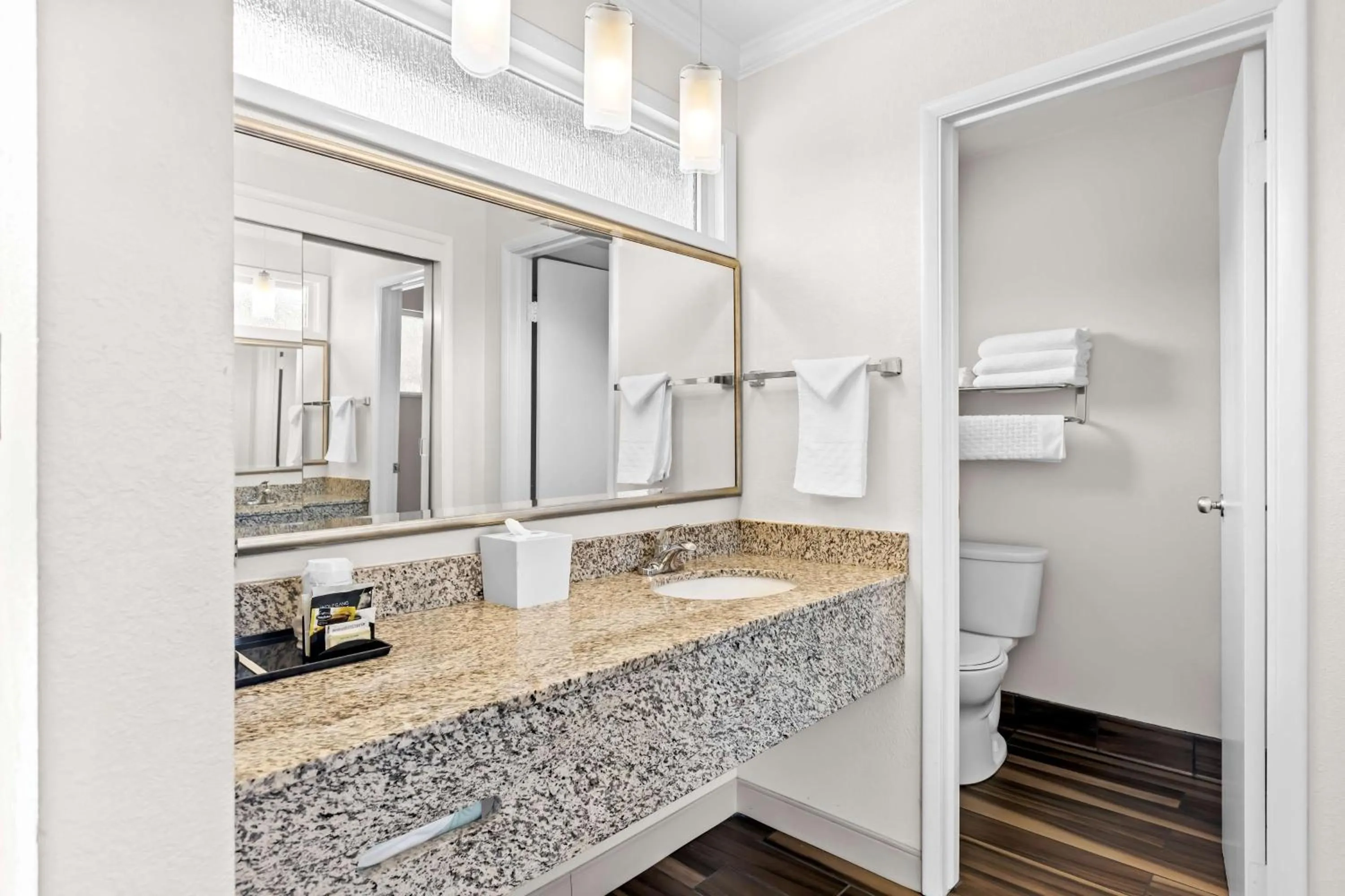 Bathroom in Best Western Garden Inn