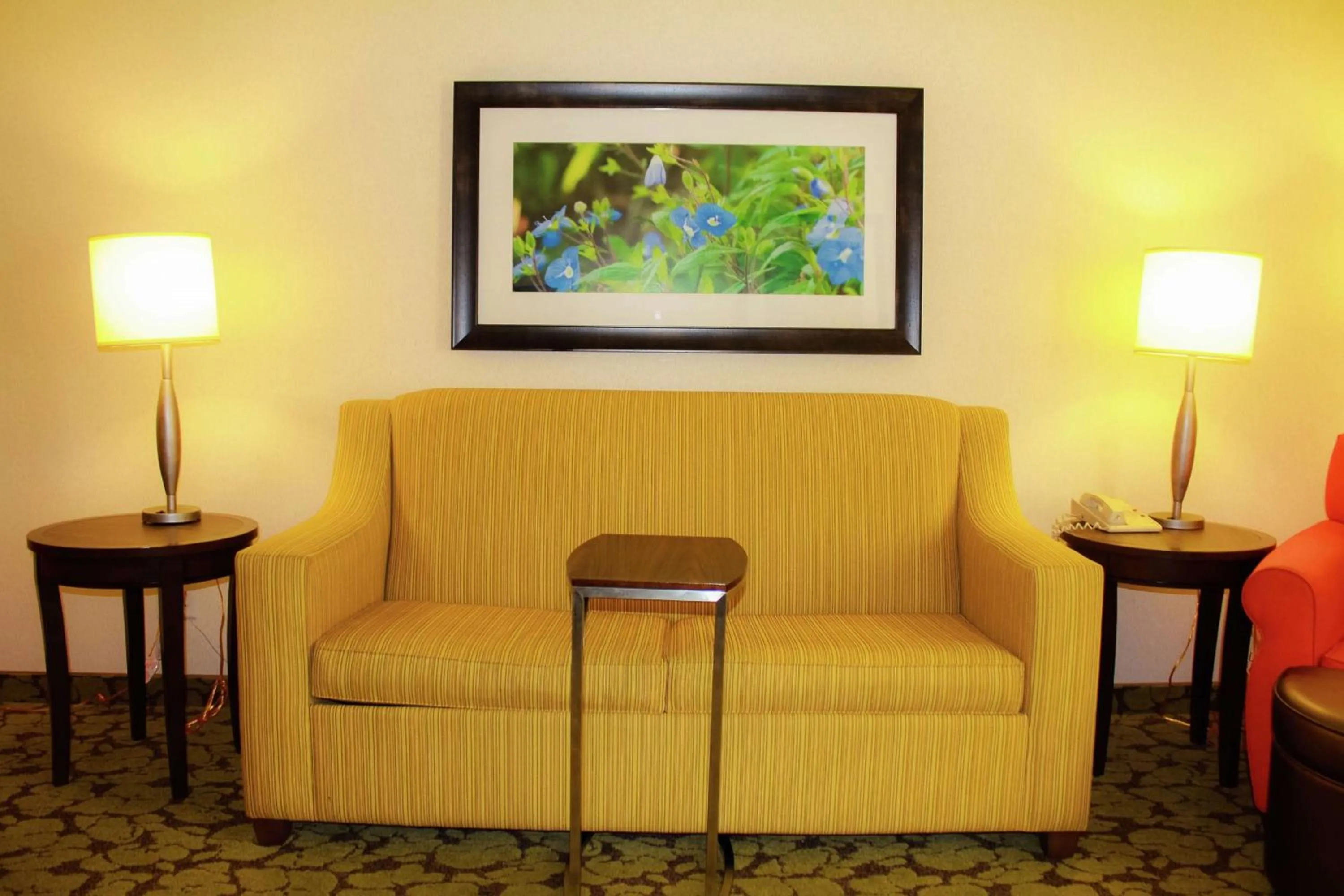 Living room in Hilton Garden Inn Redding