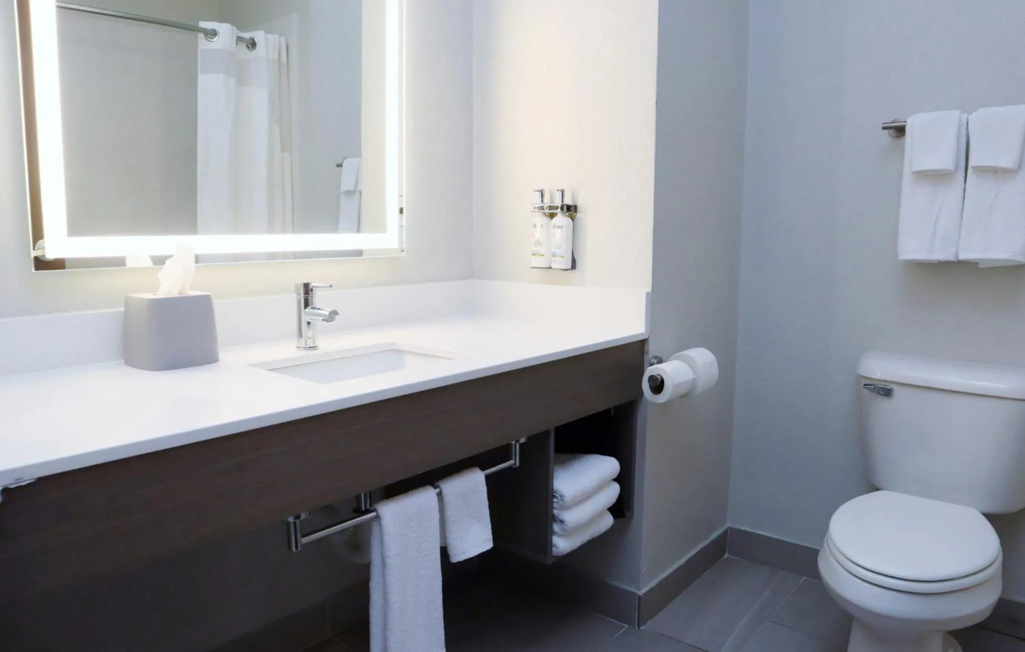 Bathroom in Holiday Inn Express Baton Rouge North by IHG