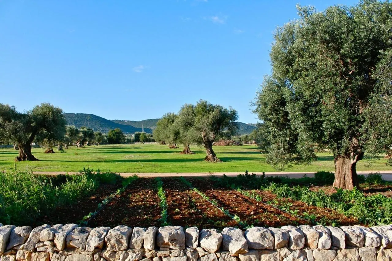 Day in Masseria Salamina