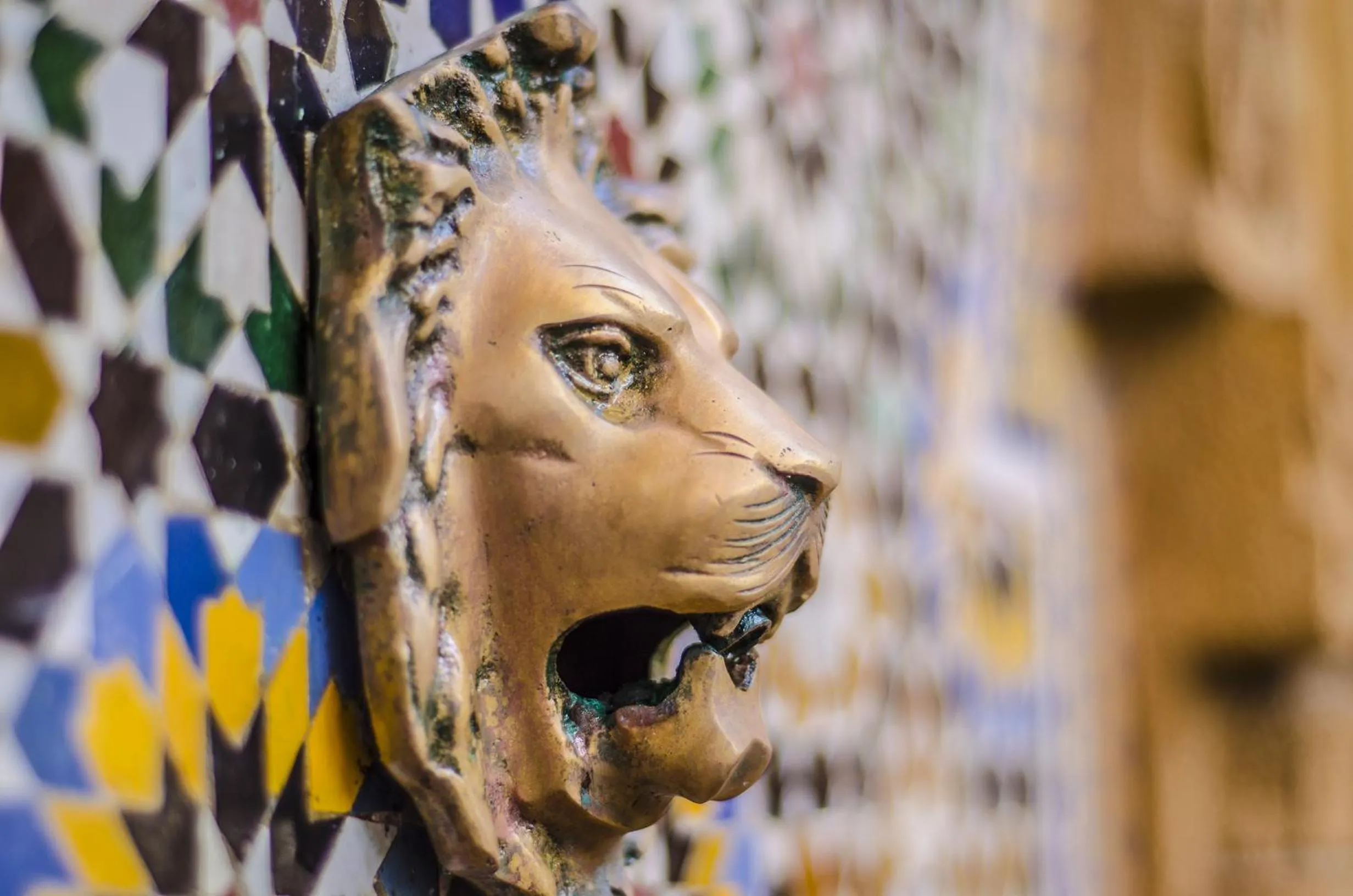 Other in Riad Sidi Fatah