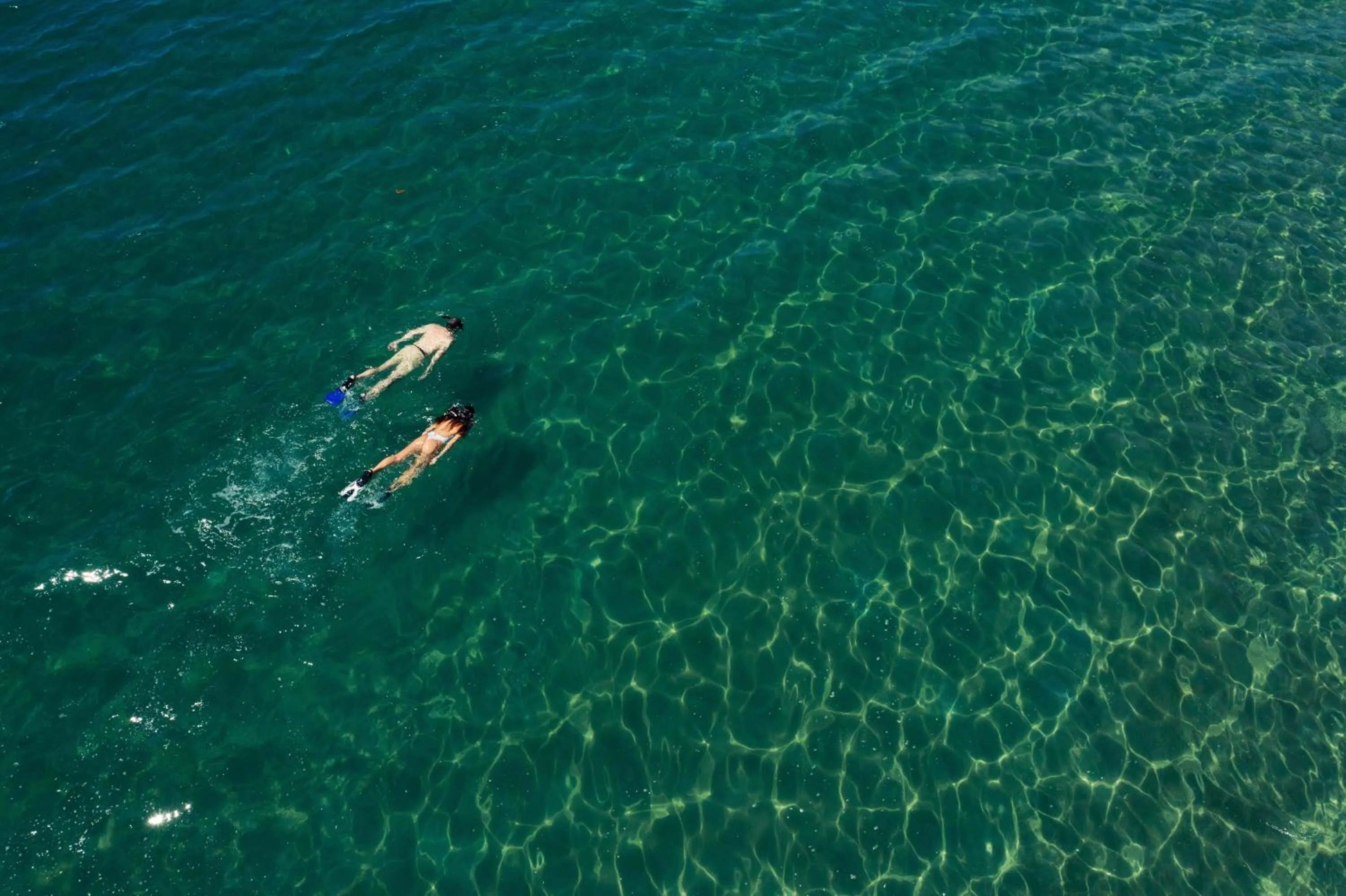 Snorkeling in Six Senses Con Dao - Turtle Island Paradise
