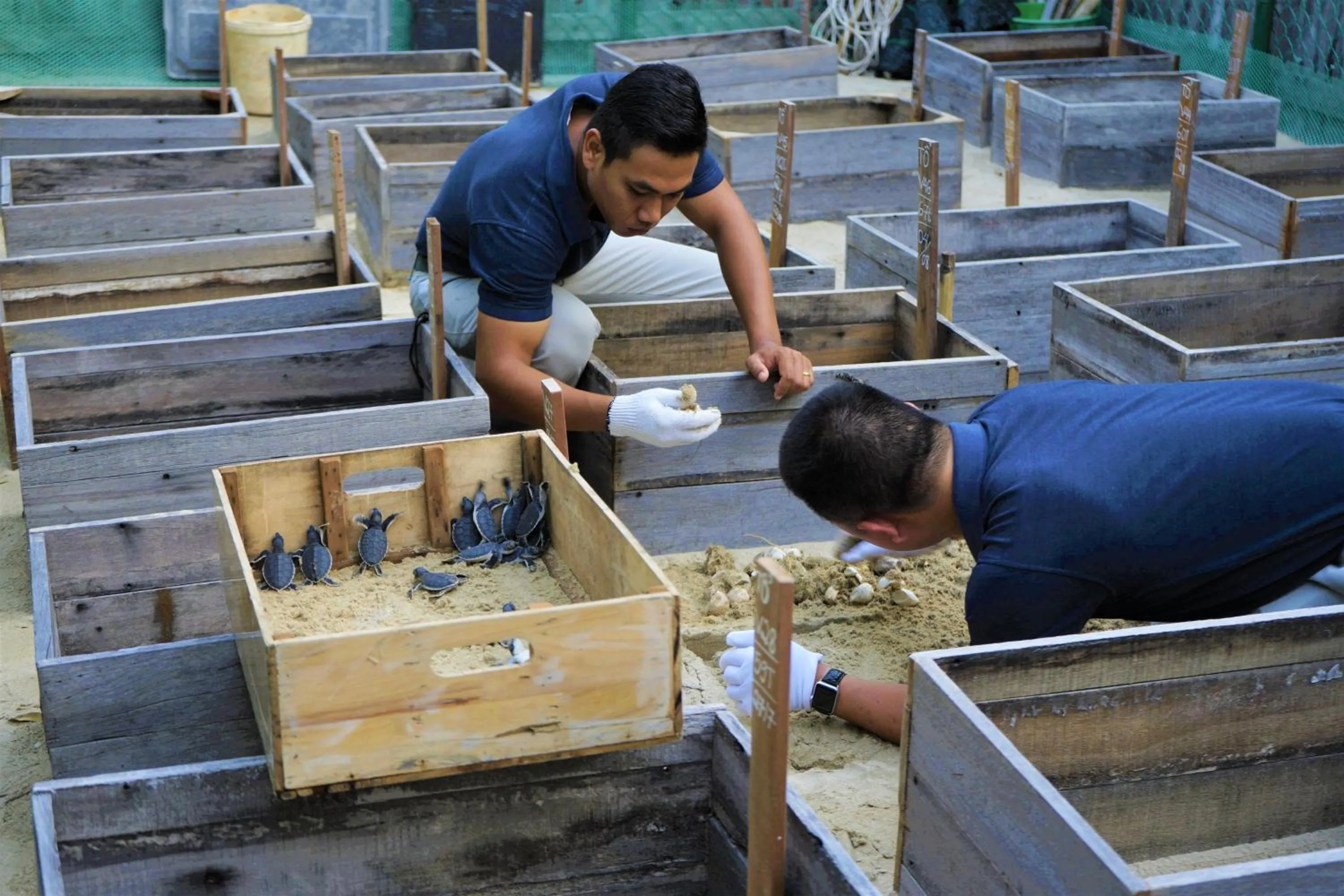 Activities in Six Senses Con Dao - Turtle Island Paradise